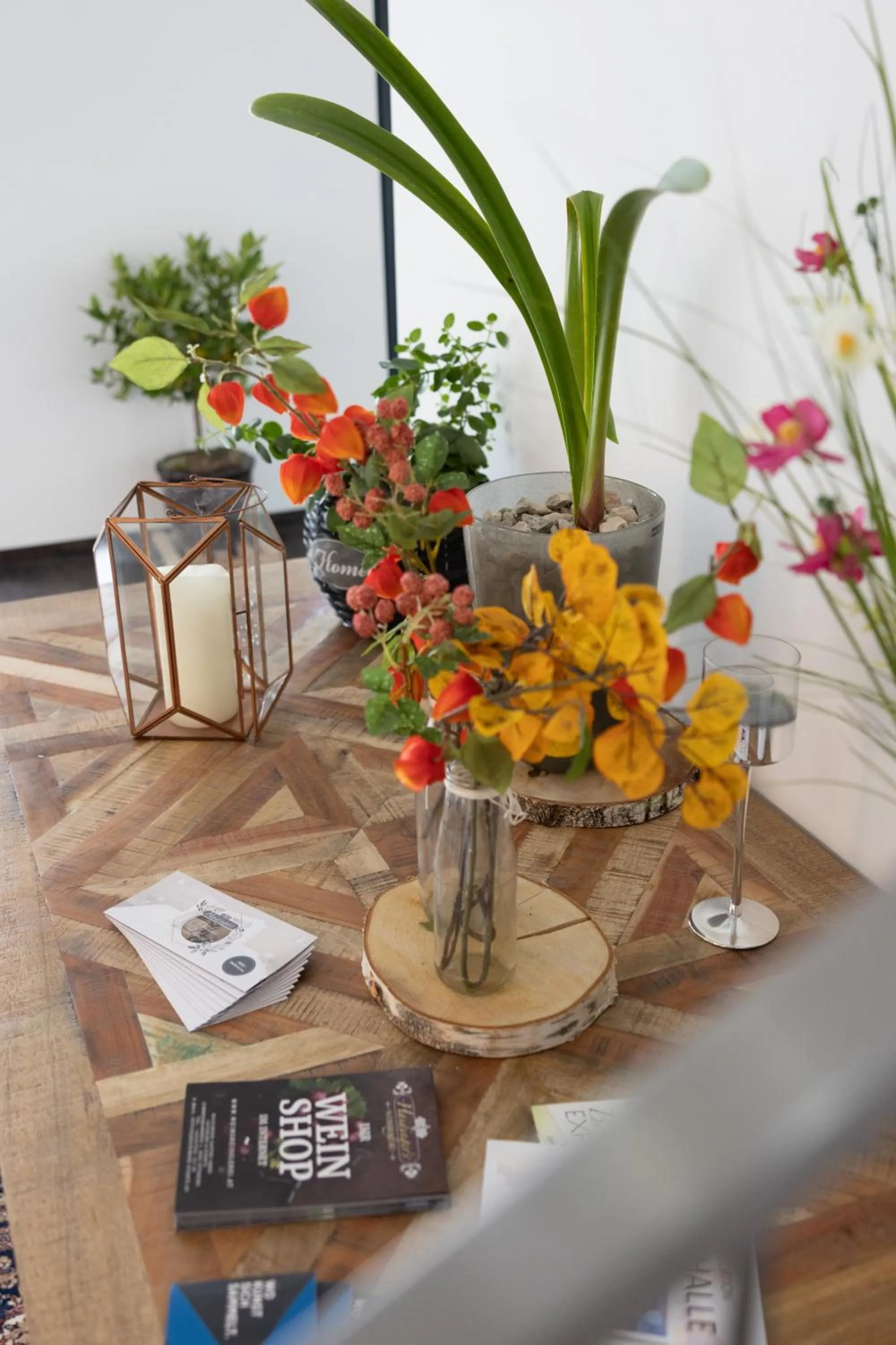 Haidinger's Boutique Domizil