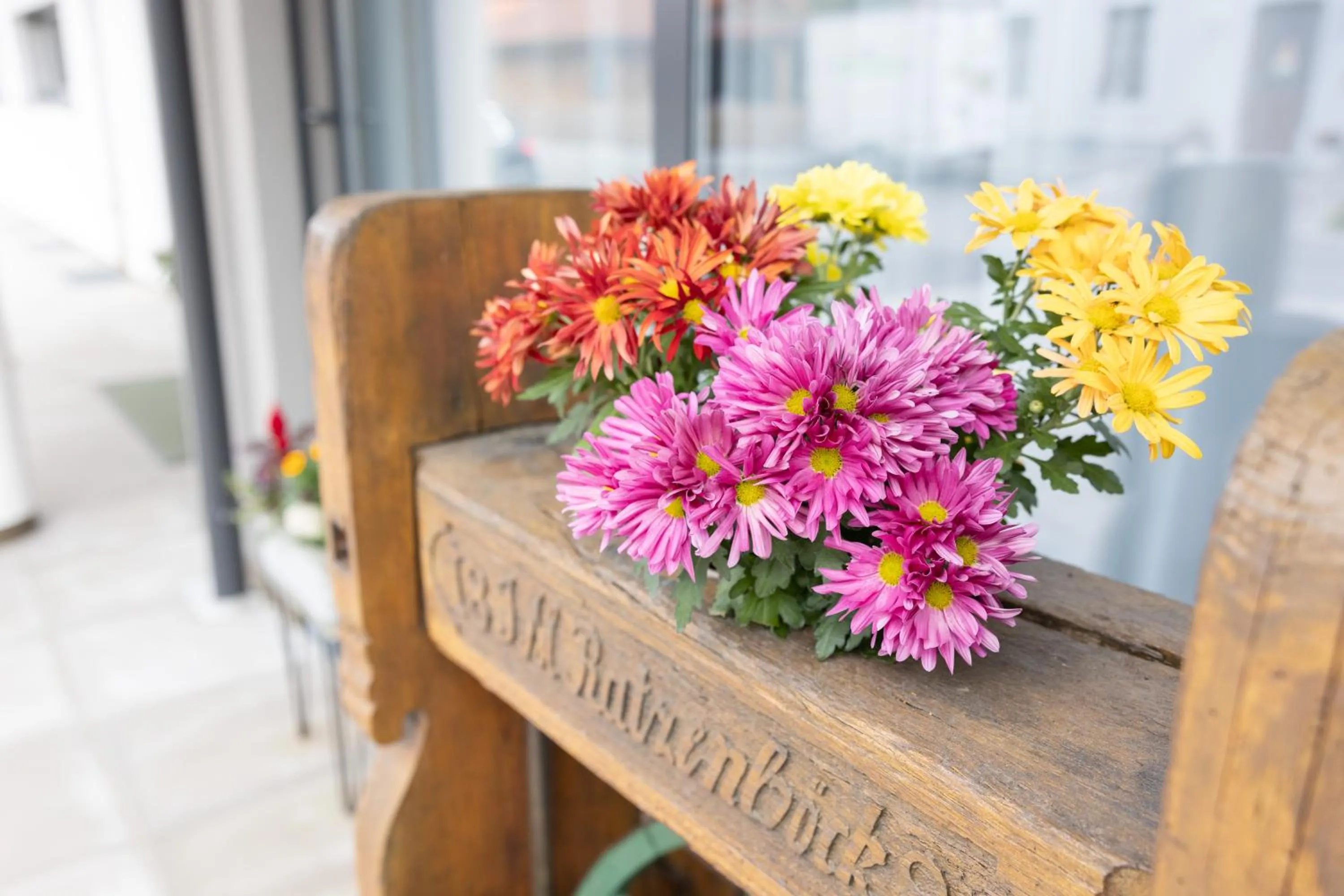 Haidinger's Boutique Domizil