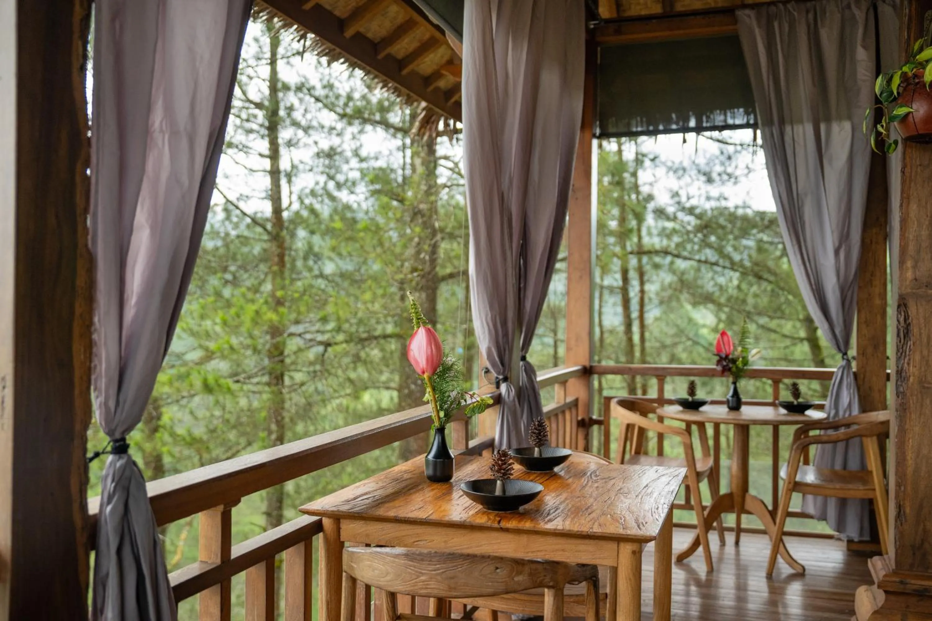 Restaurant/places to eat in Tira Vilagna Suites & Spa