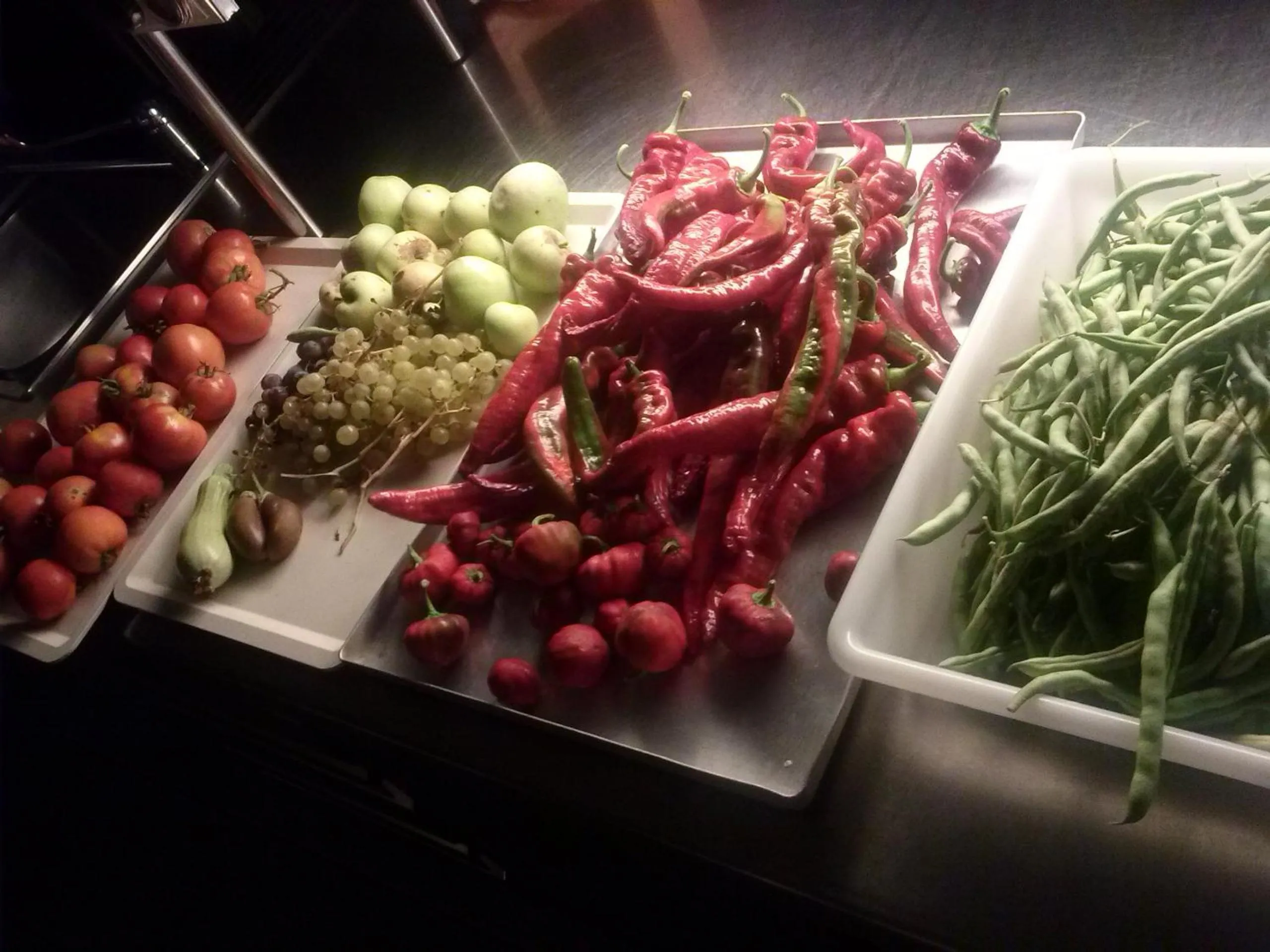 Food and drinks in L'Almàssera Casa Rural & Restaurant