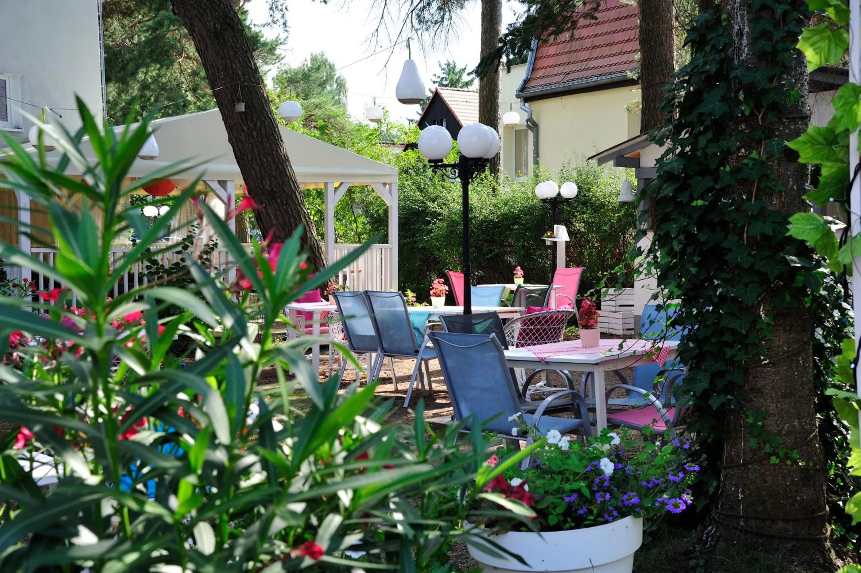 Garden in Villa Flaming