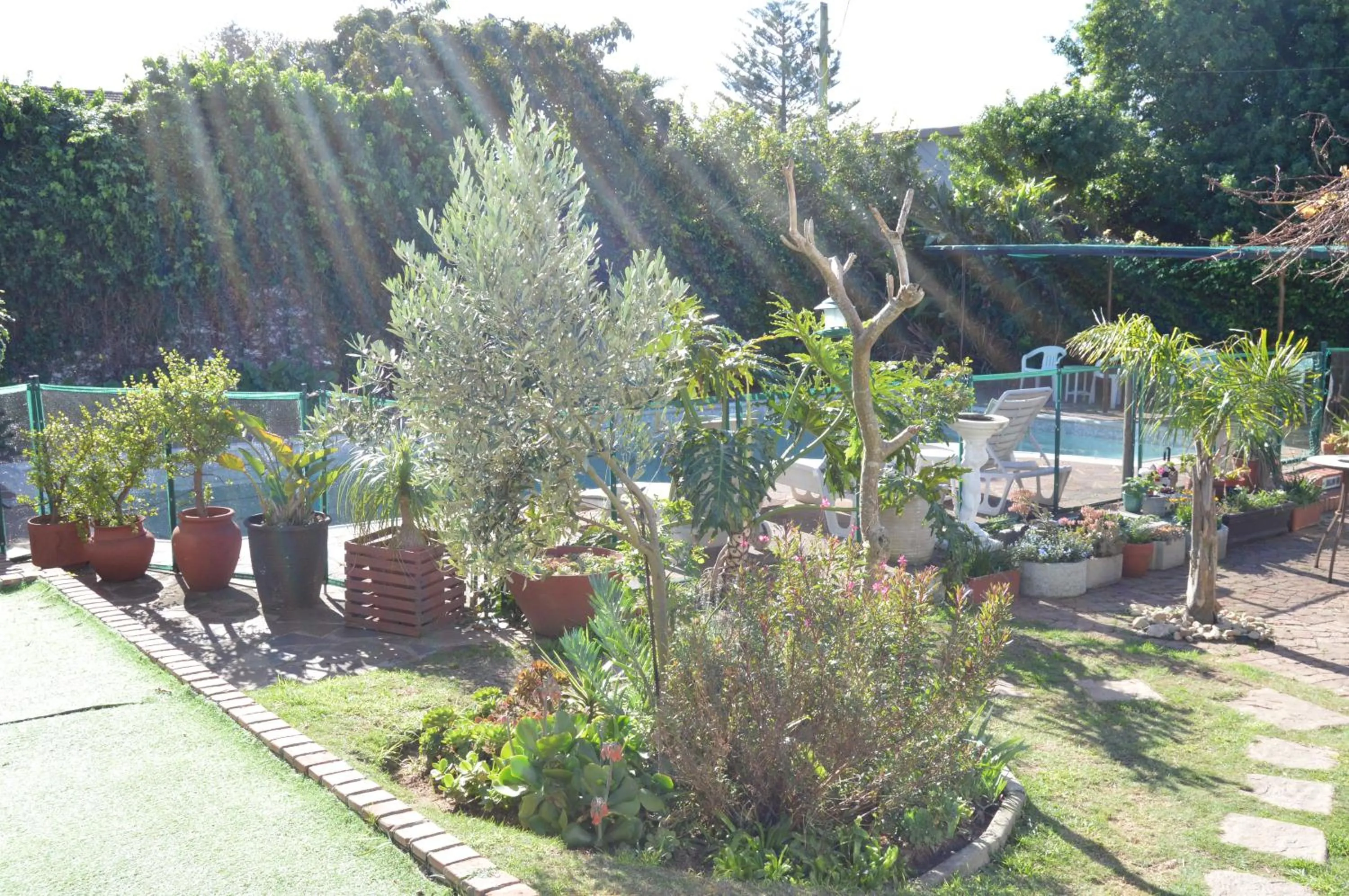 Garden in Aqua Marine Guest House
