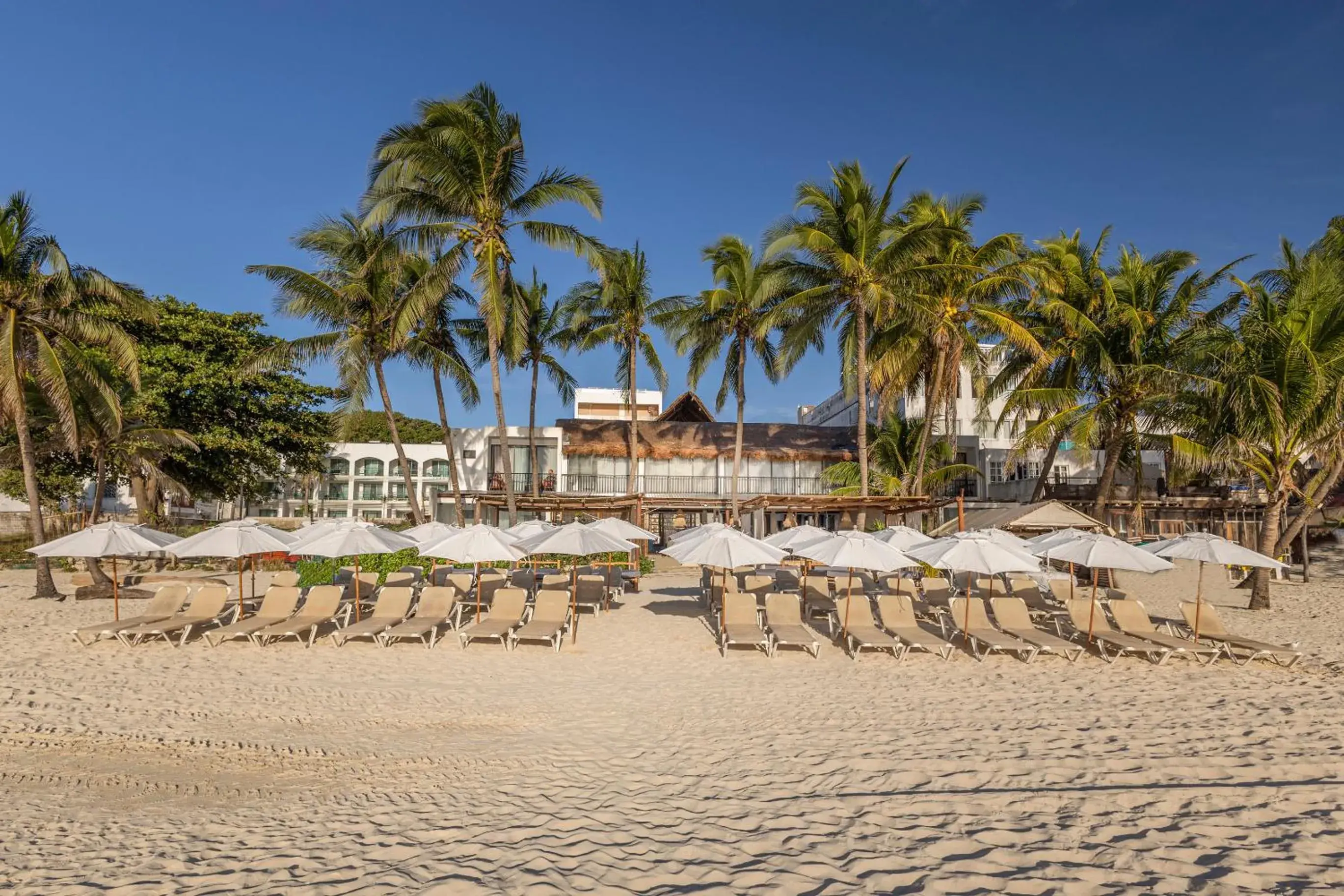 Areia Playa del Carmen - Beach Front Hotel Areia Playa del Carmen - Beach Front Hotel