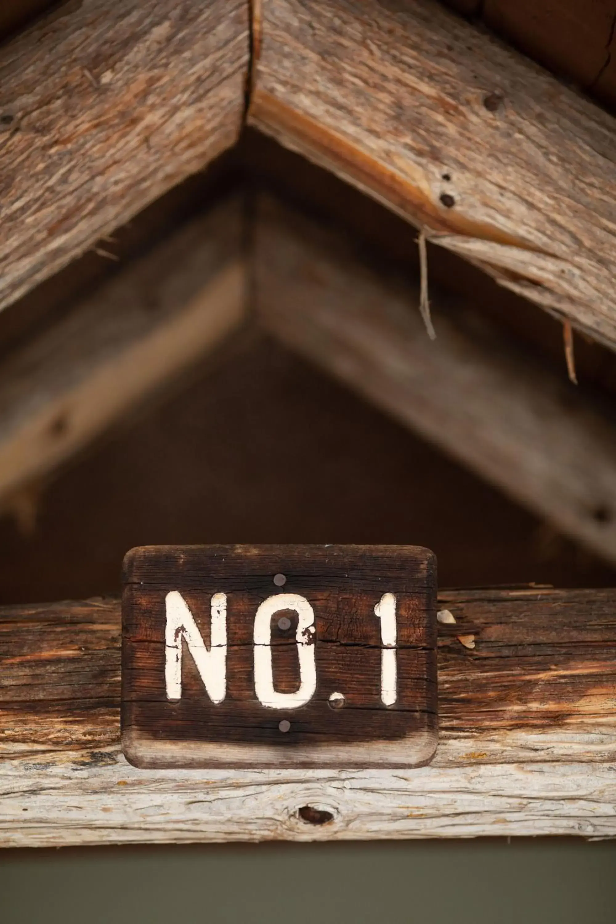 Queen Room in Lochsa Lodge Queen Room in Lochsa Lodge