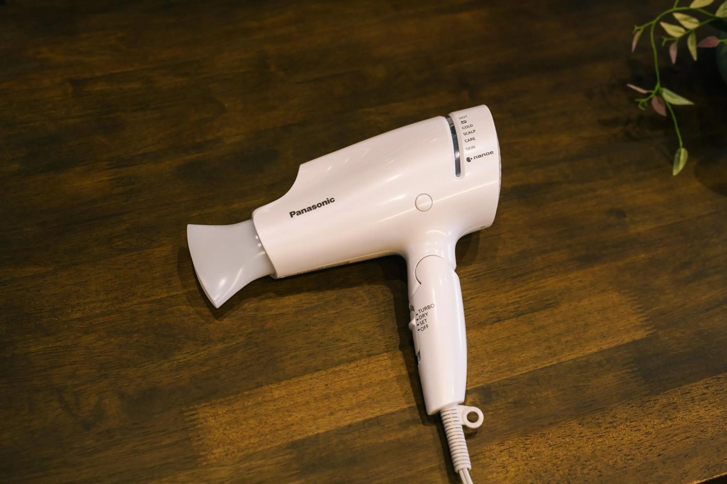 Photo of the whole room in Hotel Iori ホテル庵