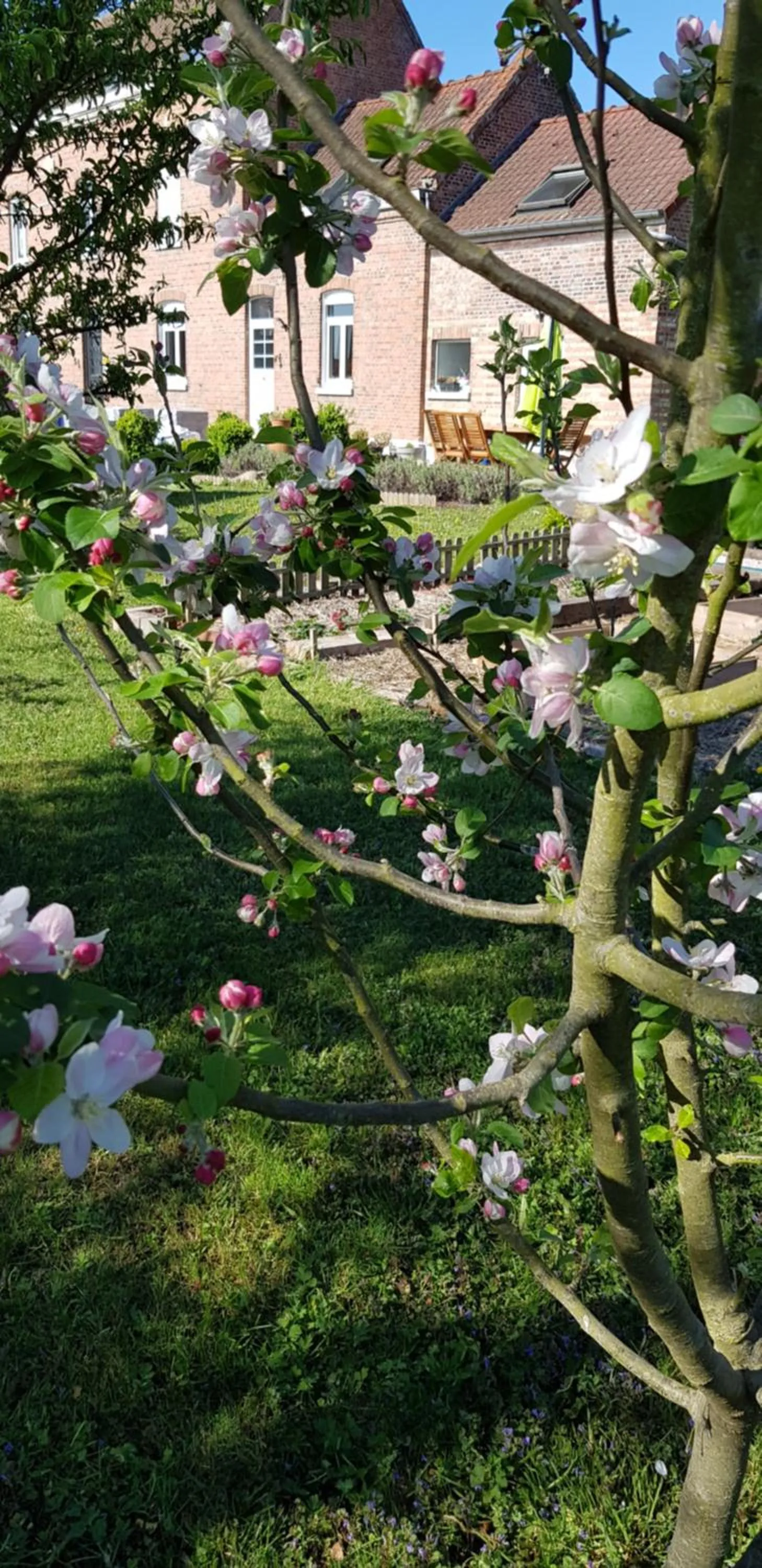 Property building in La Ceriseraie