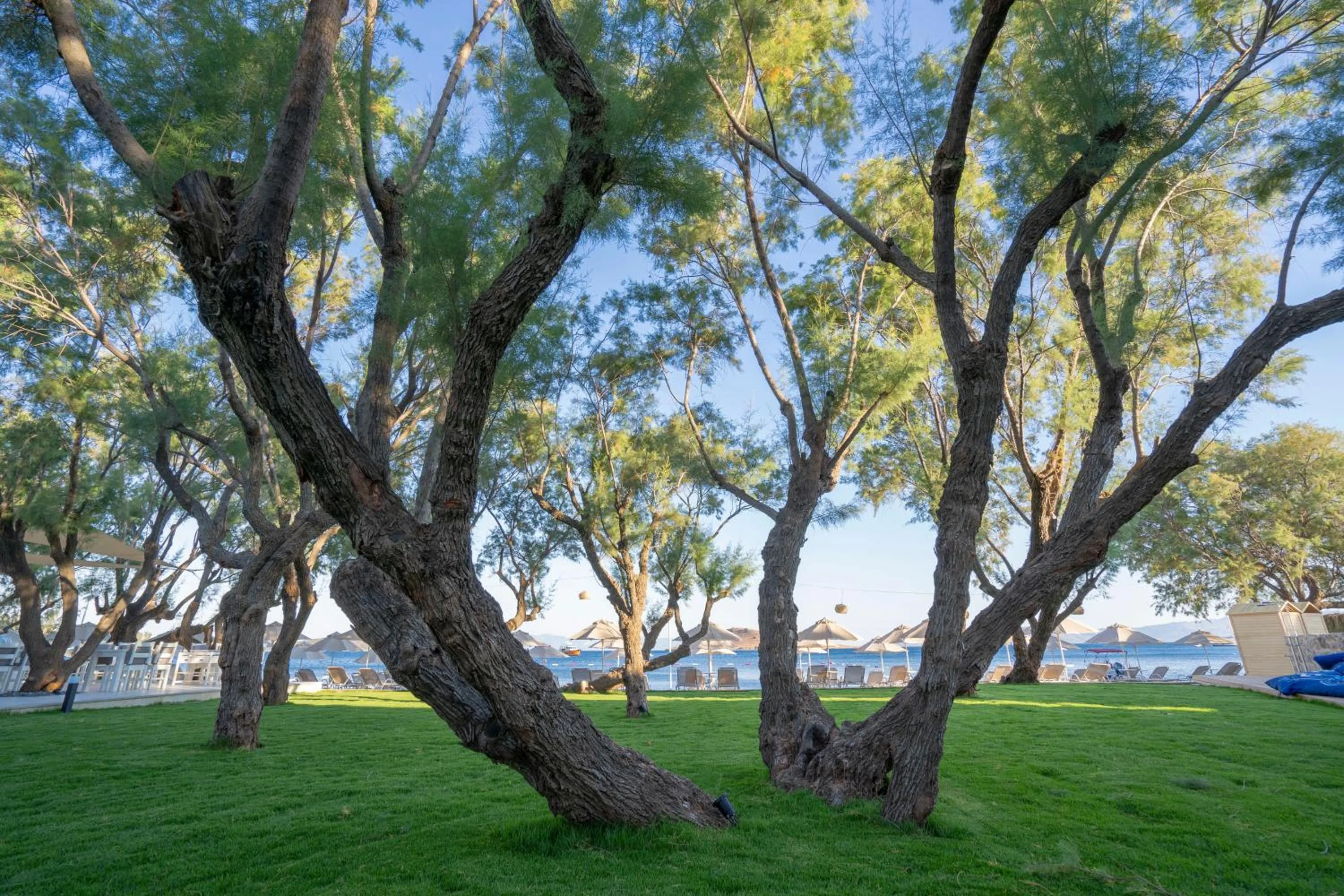 View (from property/room) in Regia Mare Beach Hotel & Spa Bodrum