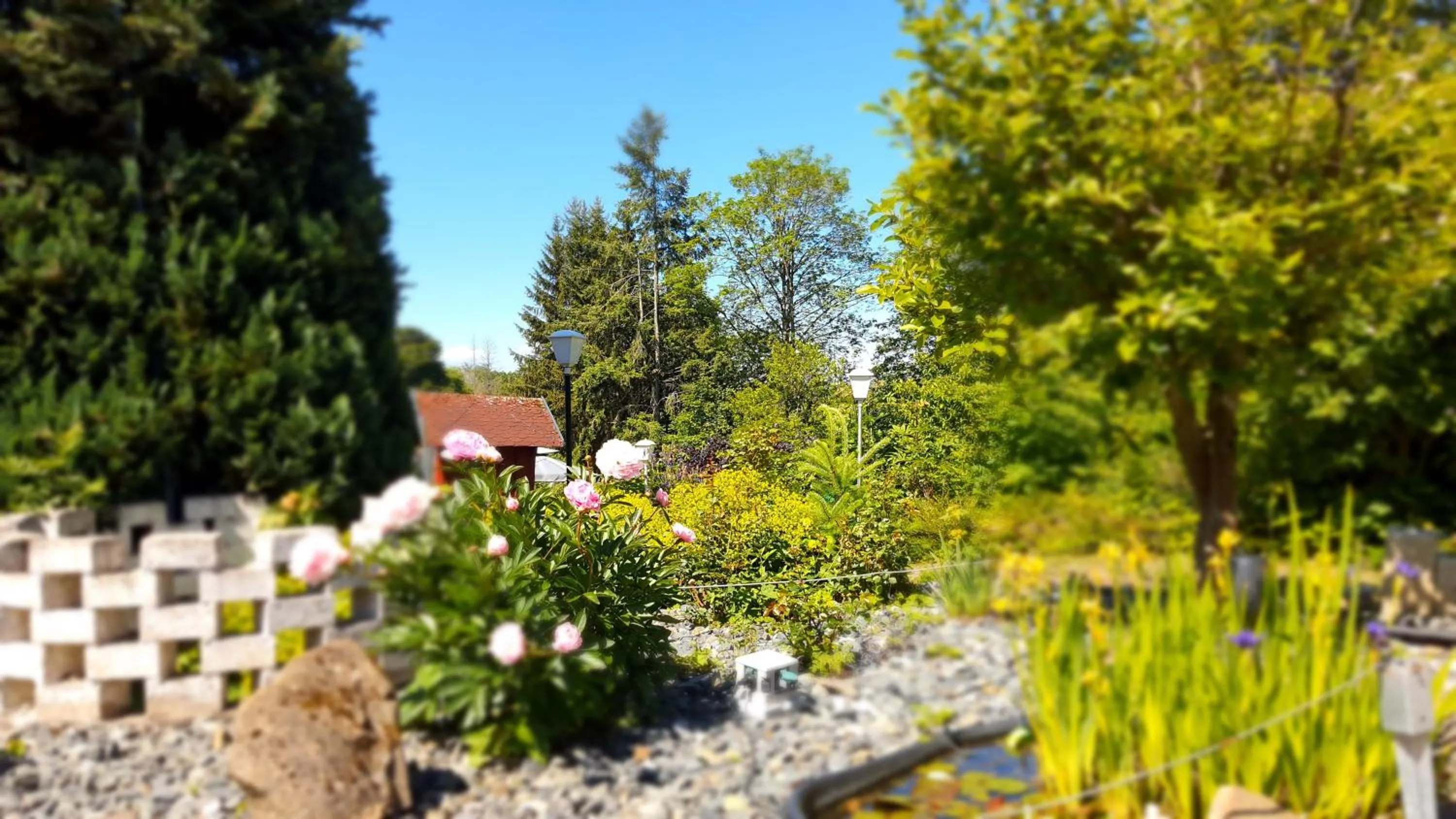 Garden in Hotel Schneiderhof