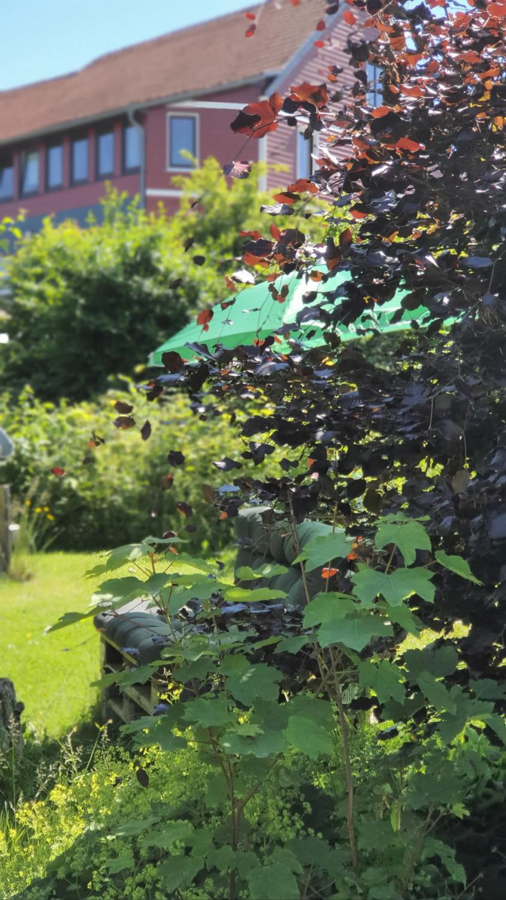 Natural landscape in Hotel Schneiderhof
