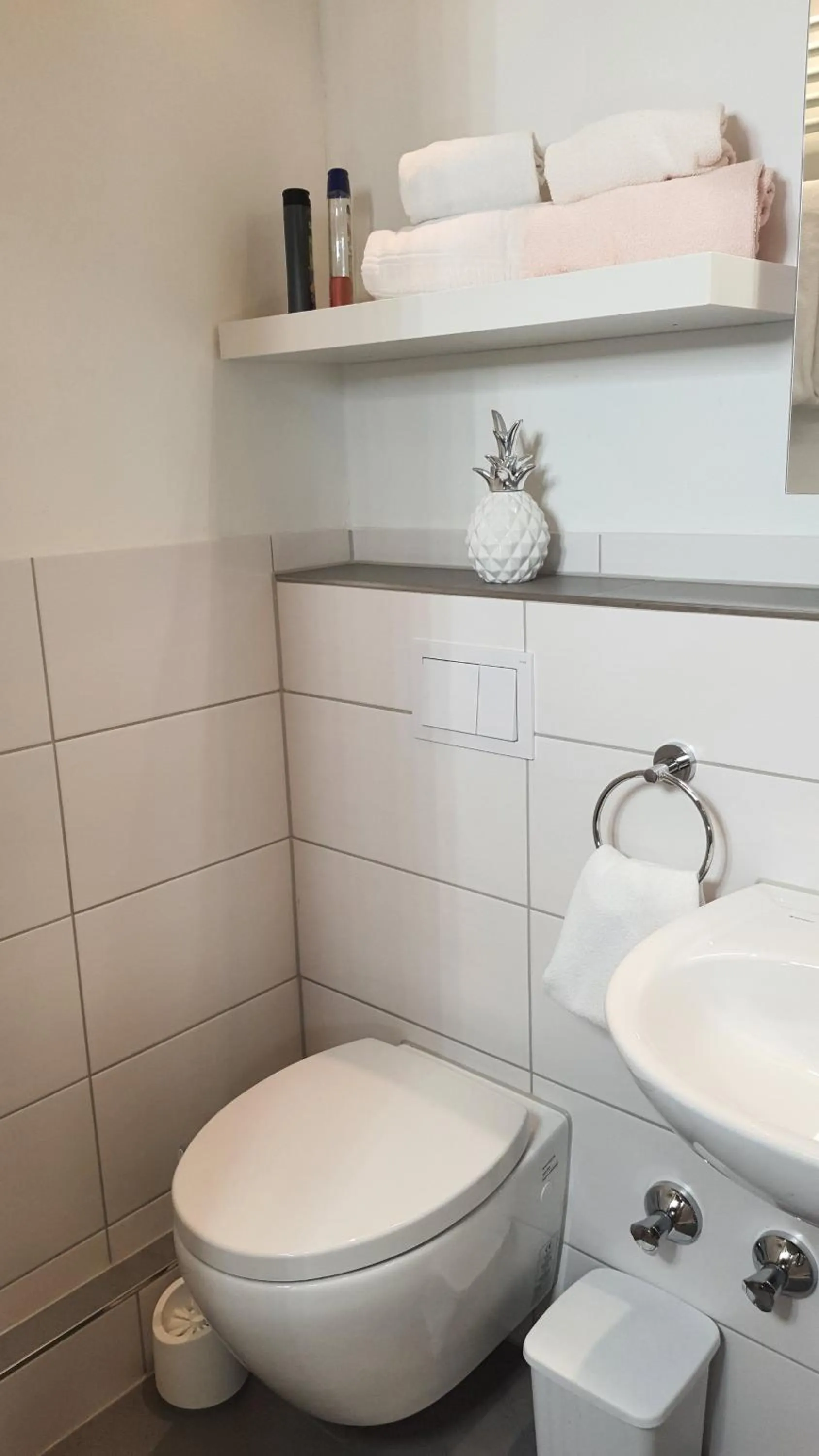 Toilet in Hotel Schneiderhof