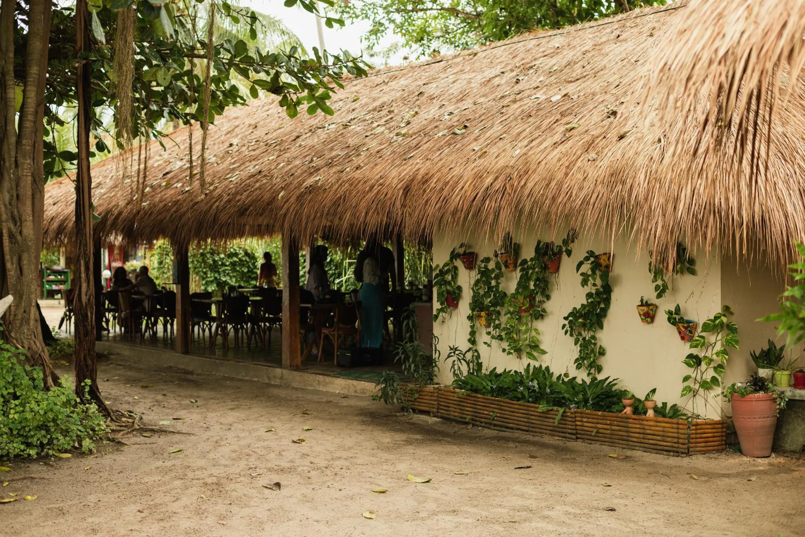 Restaurant/places to eat in Bangalôs do Gameleiro