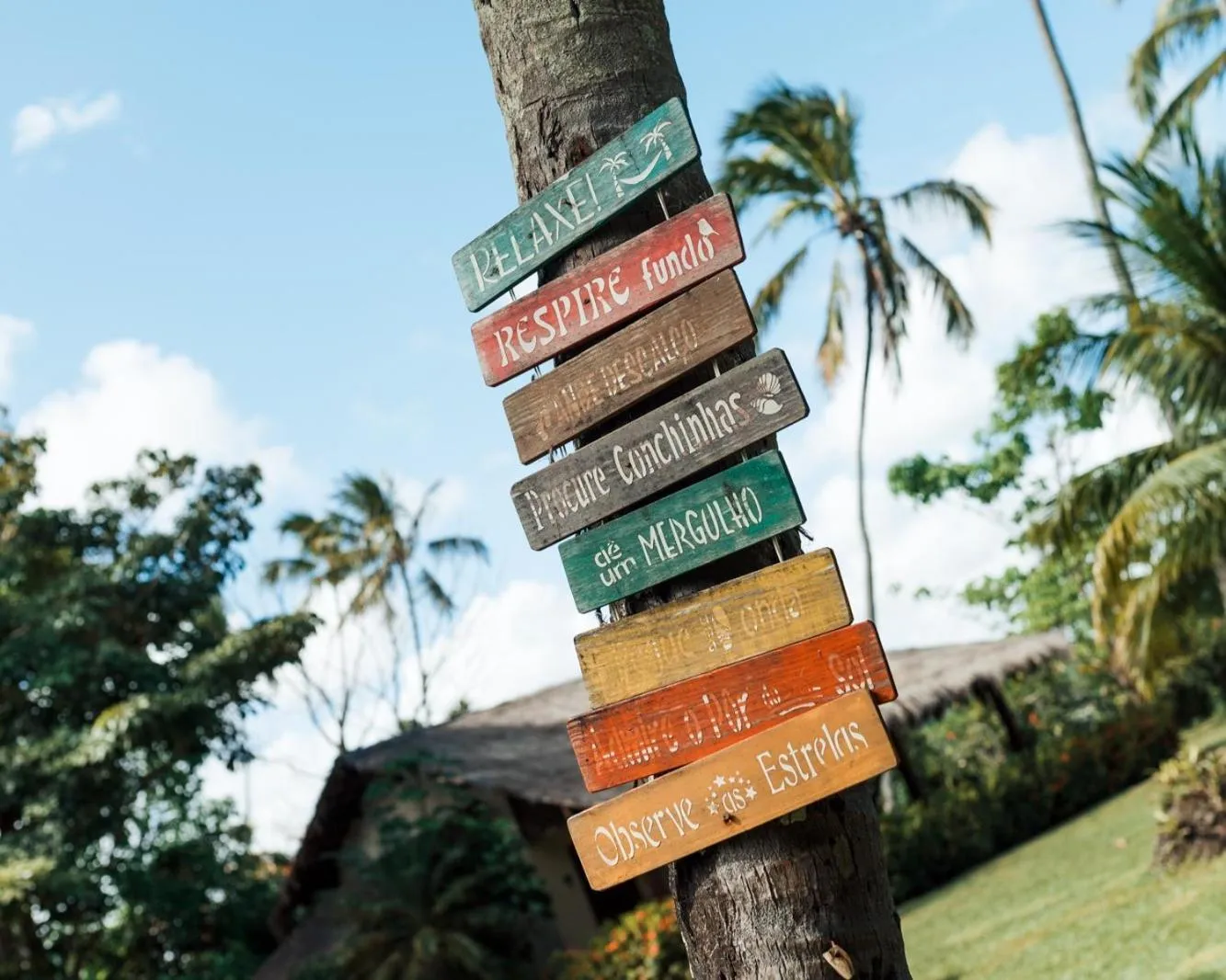 Garden in Bangalôs do Gameleiro
