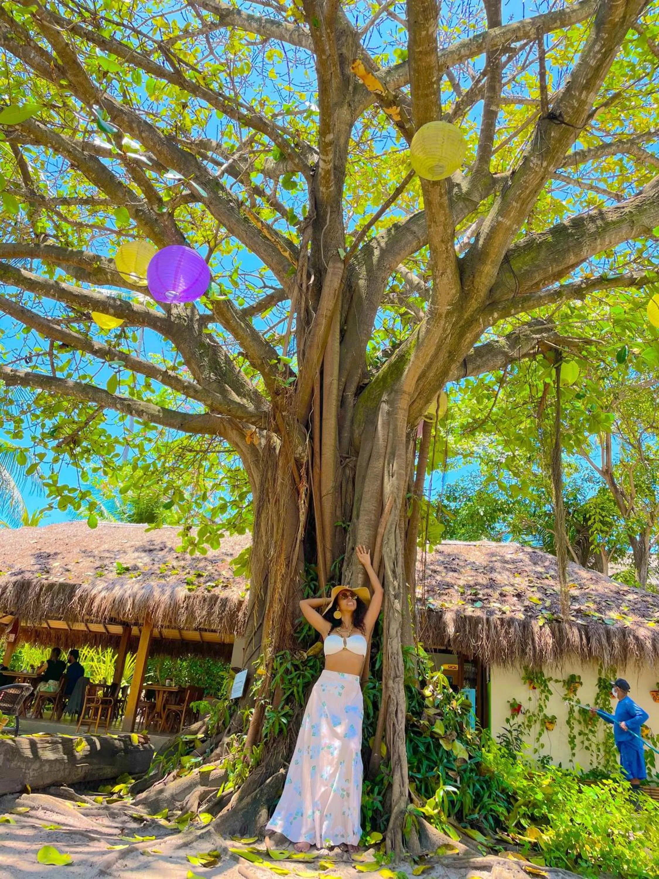 Garden in Bangalôs do Gameleiro