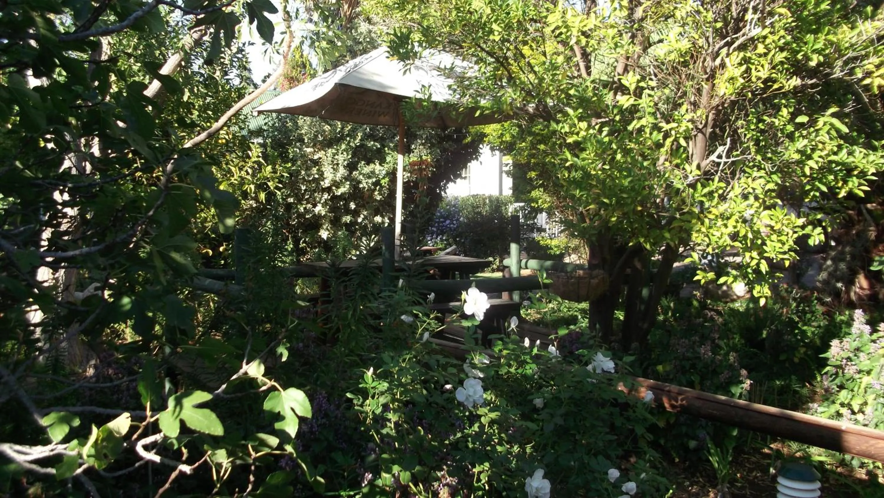 View (from property/room) in HouseMartin Lodge & Self Catering