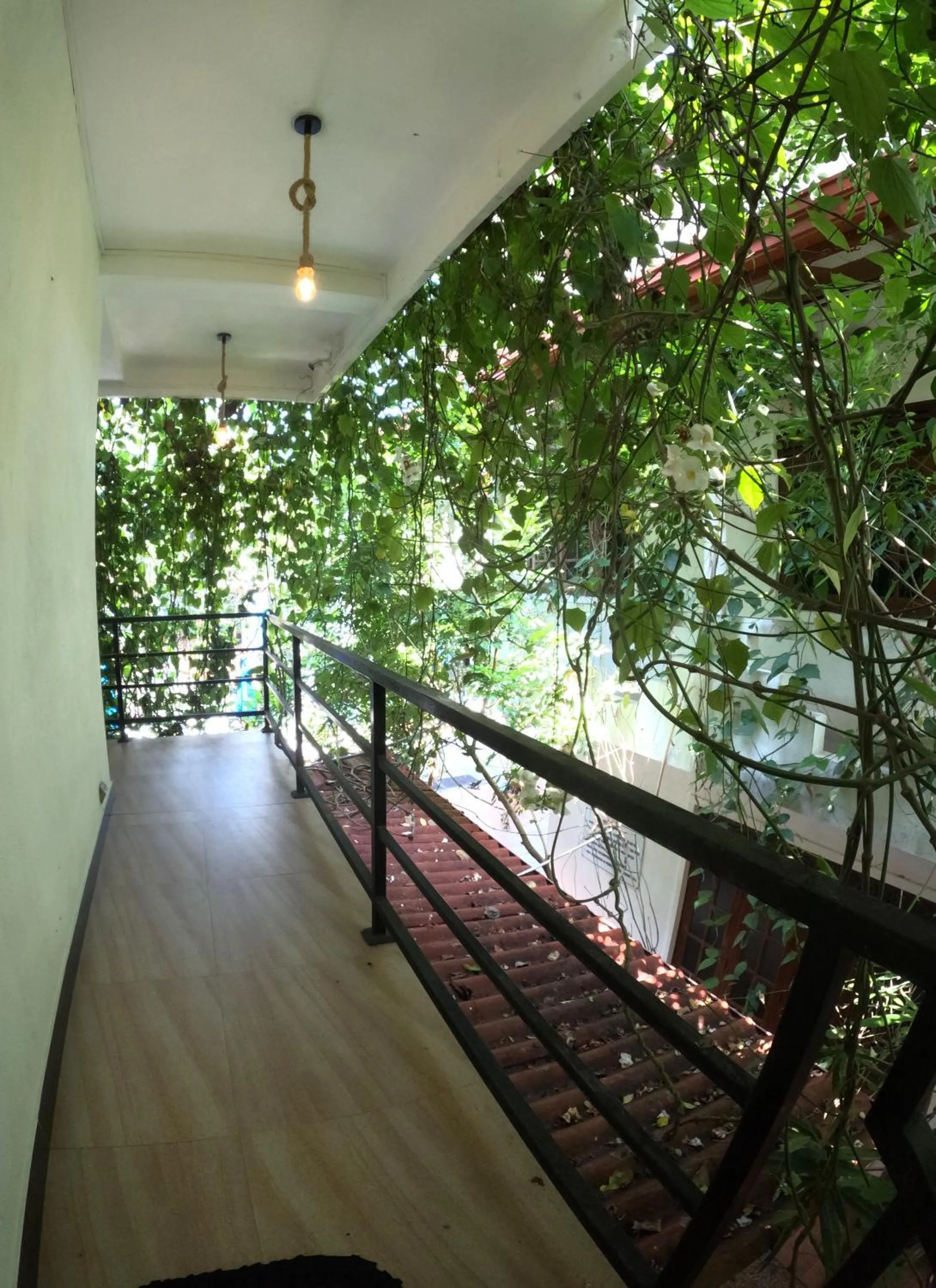 Property building in Mirissa Blue Whale Holiday Hotel