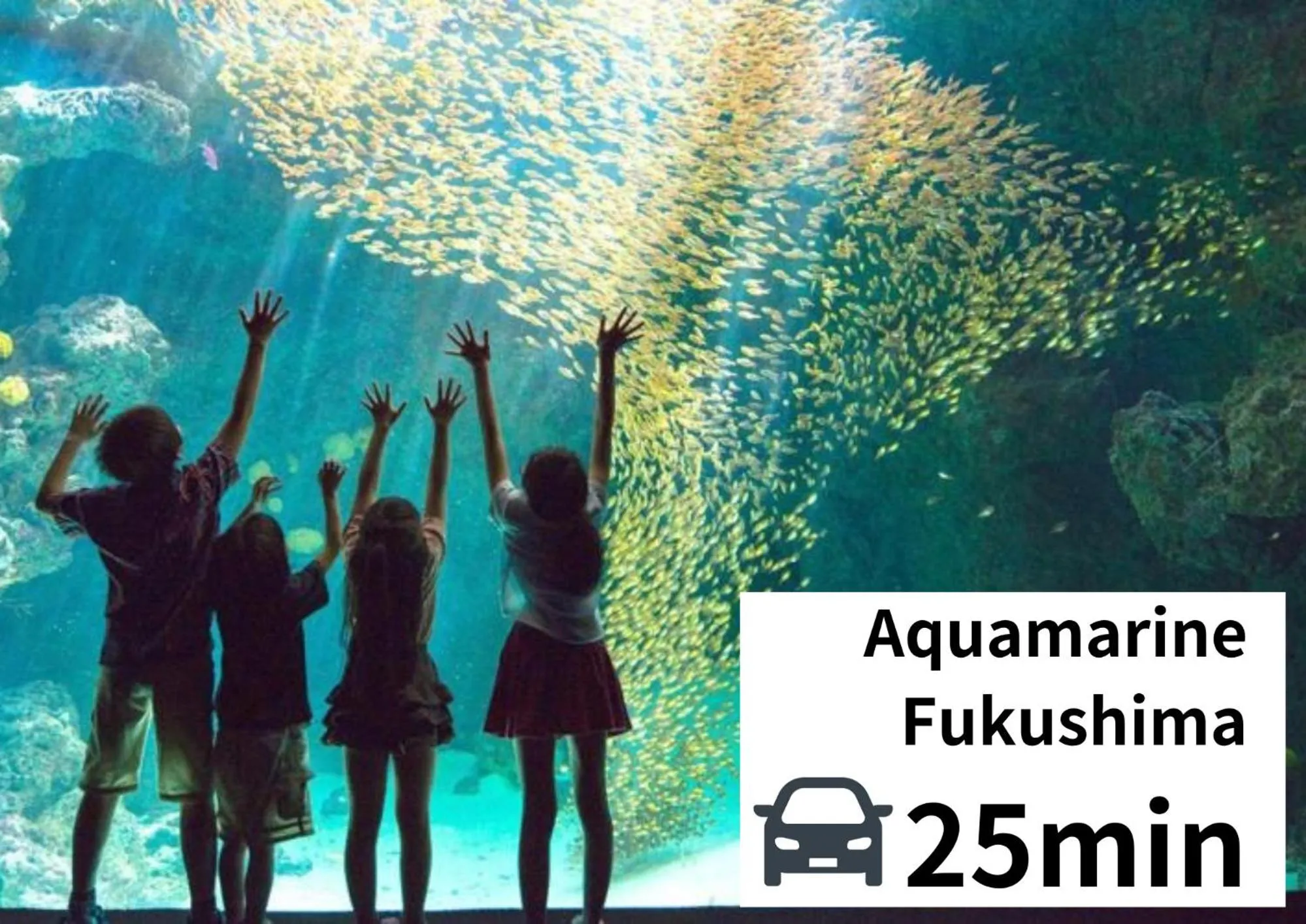 Guesthouse & Kitchen Hace