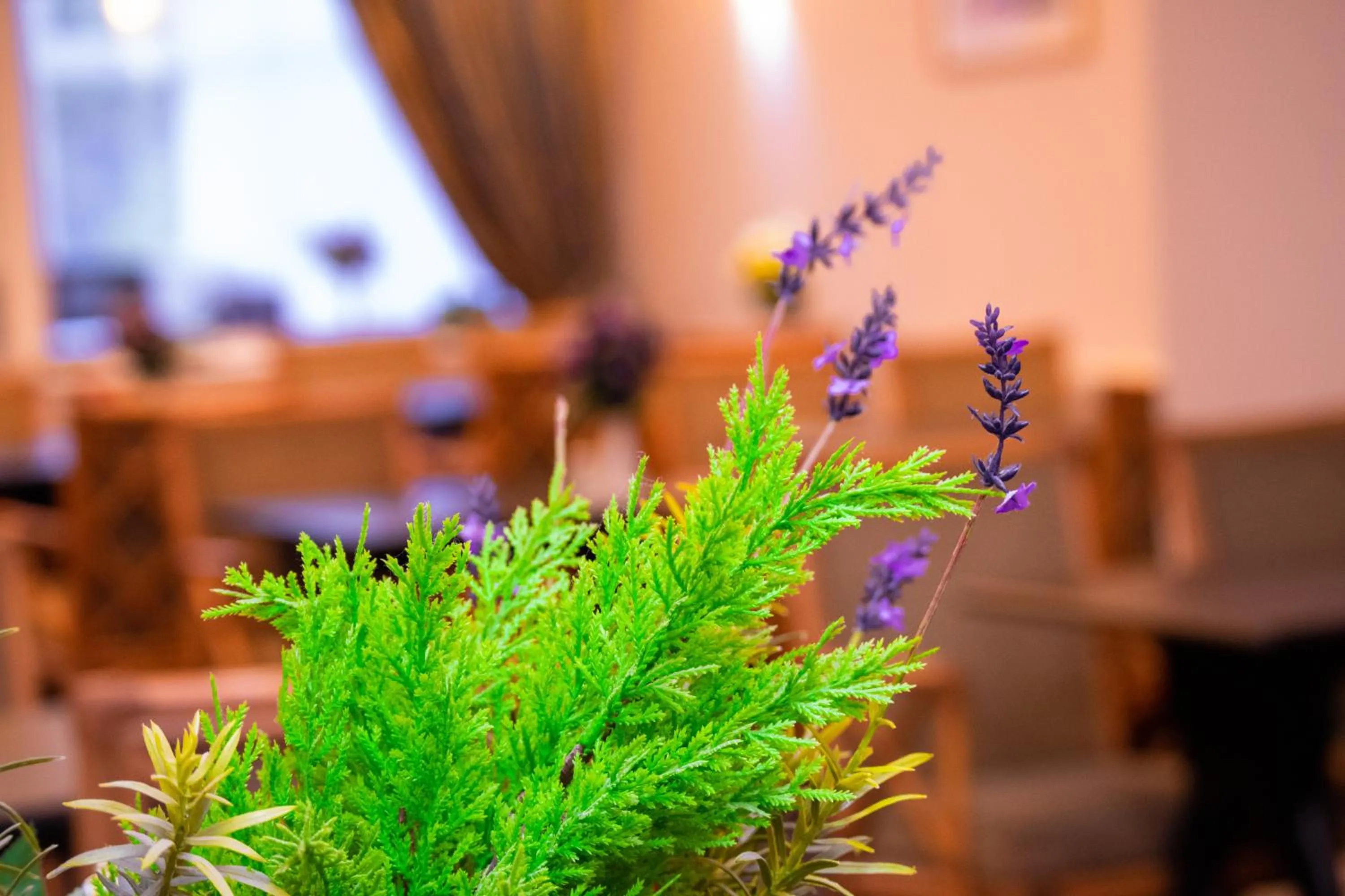 Royal Square Hotel - NEC & Birmingham Airport