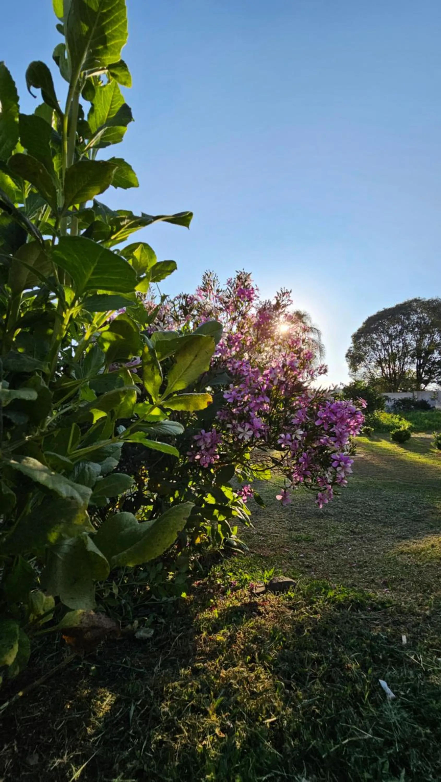 Natural landscape in Pousada Bom Pastor