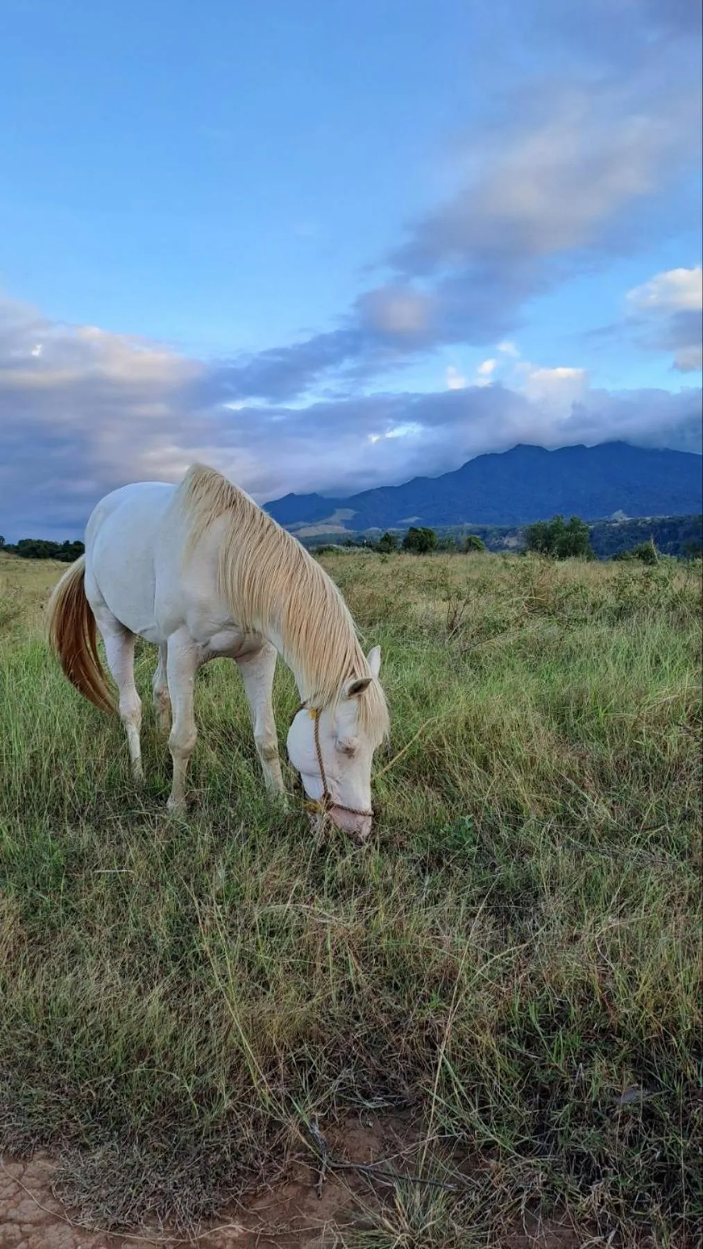 Day in Rancho Bernardo Luxury Villas and Resort