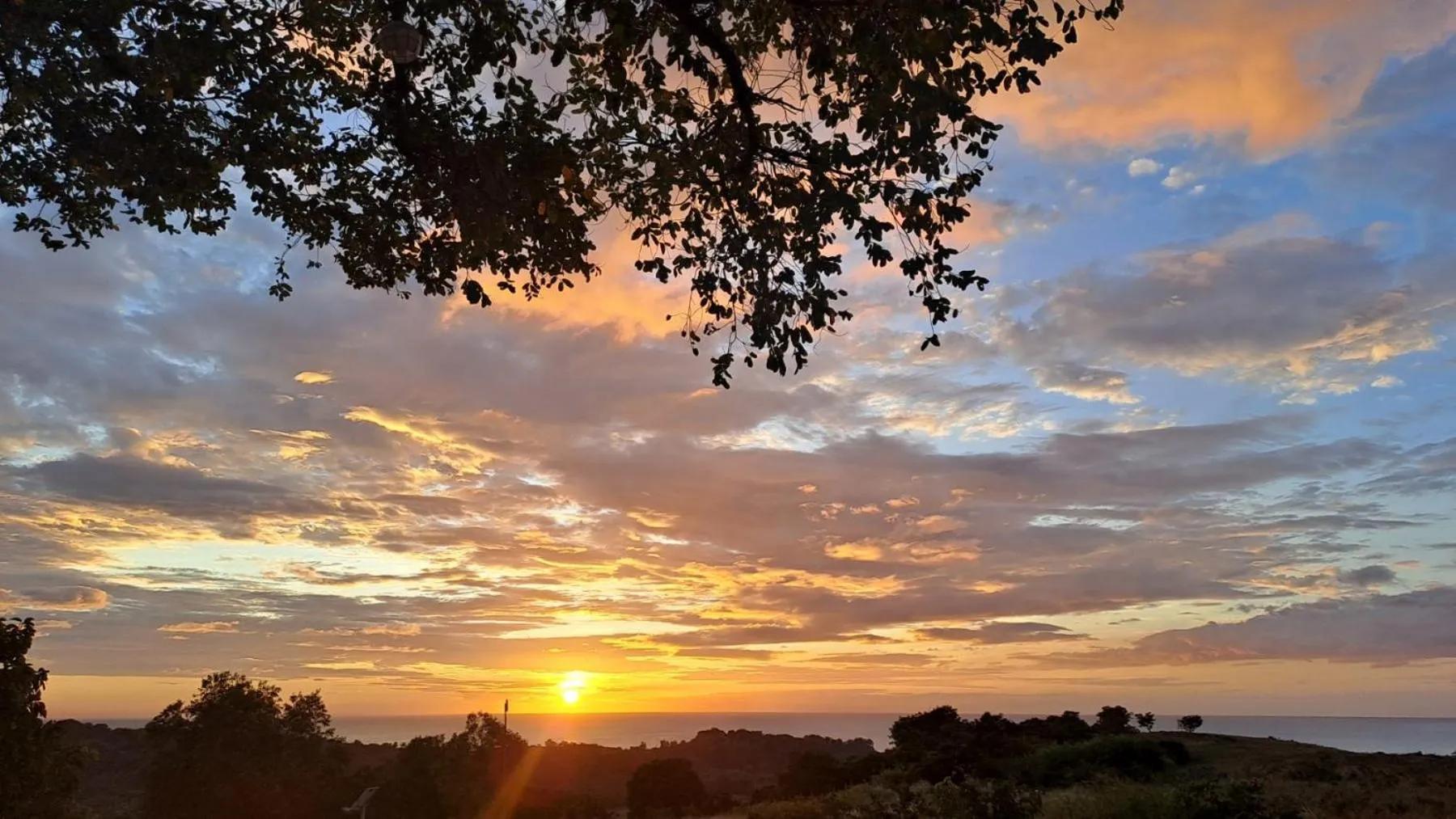 Natural landscape in Rancho Bernardo Luxury Villas and Resort