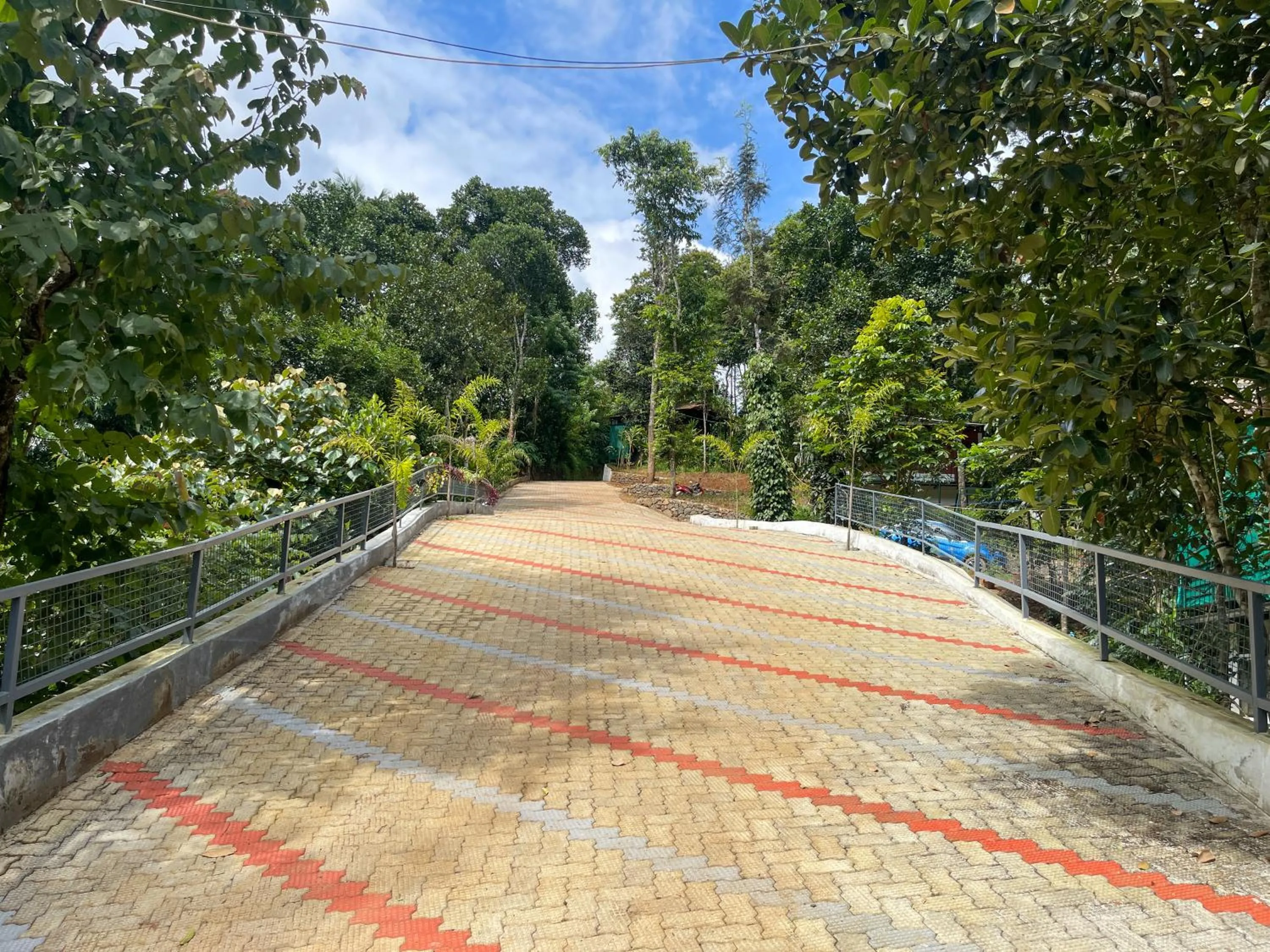 Natural landscape in Snow Hills Nature Resort, Thekkady