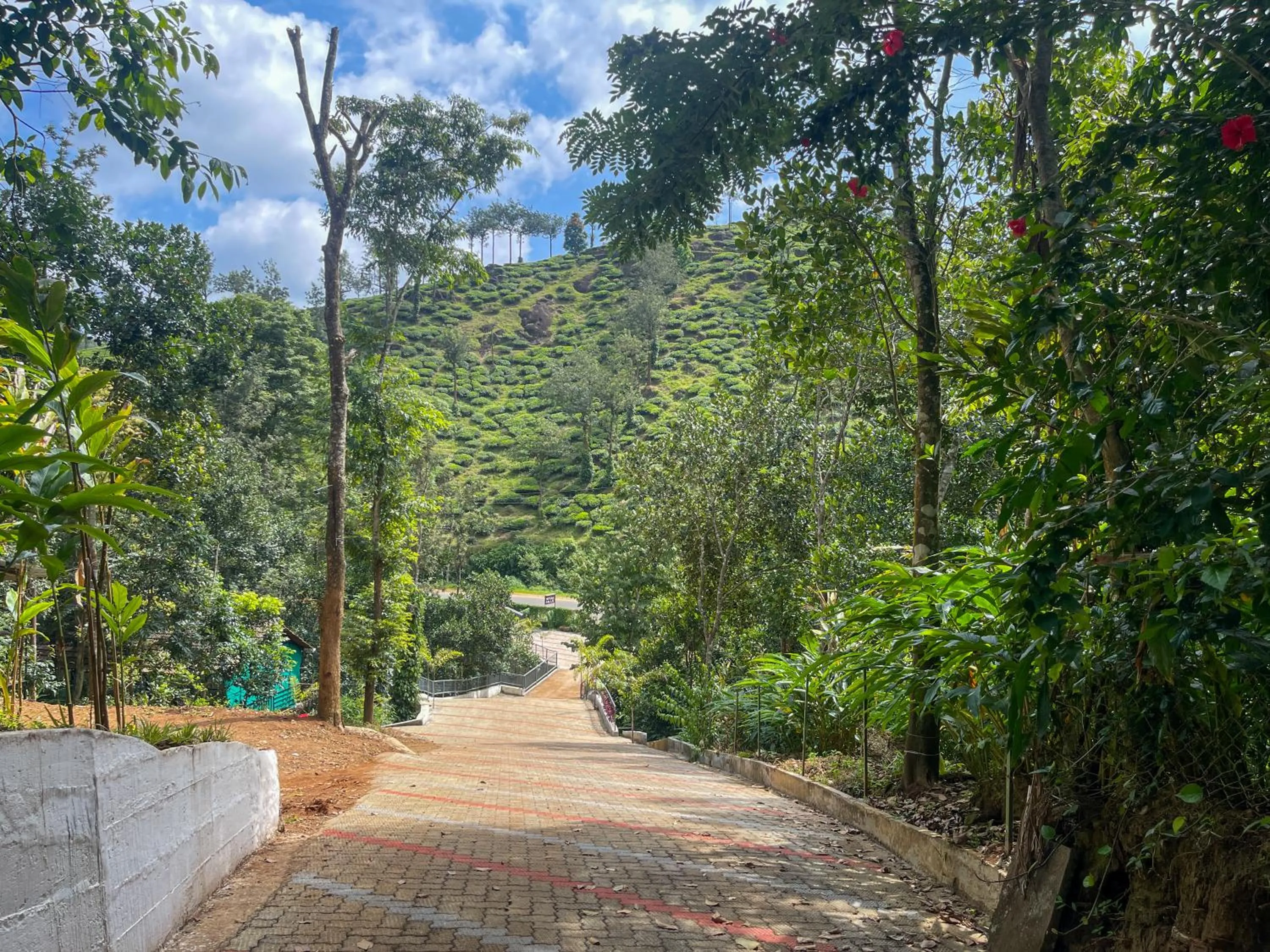Natural landscape in Snow Hills Nature Resort, Thekkady