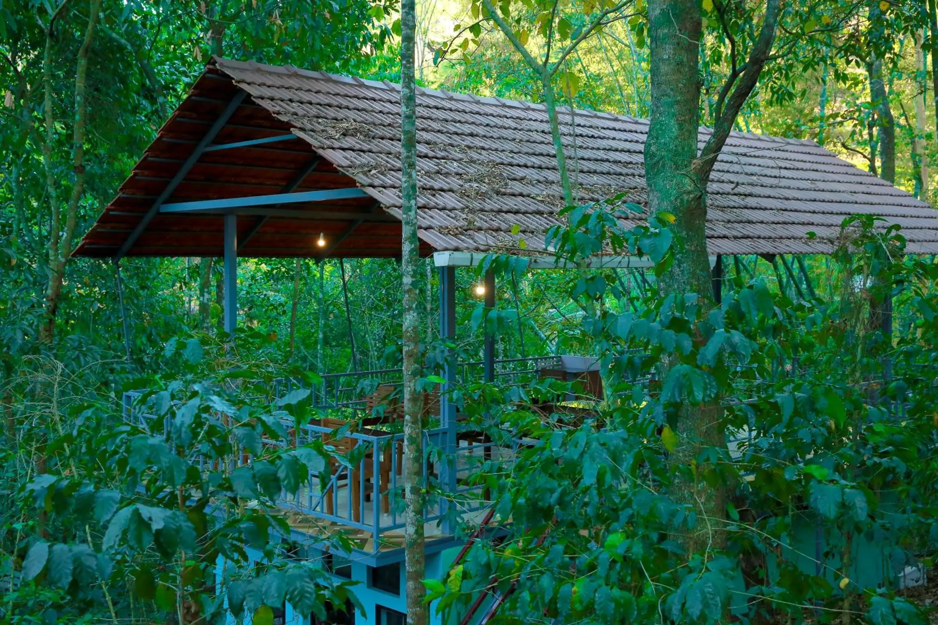 Snow Hills Nature Resort, Thekkady Snow Hills Nature Resort, Thekkady