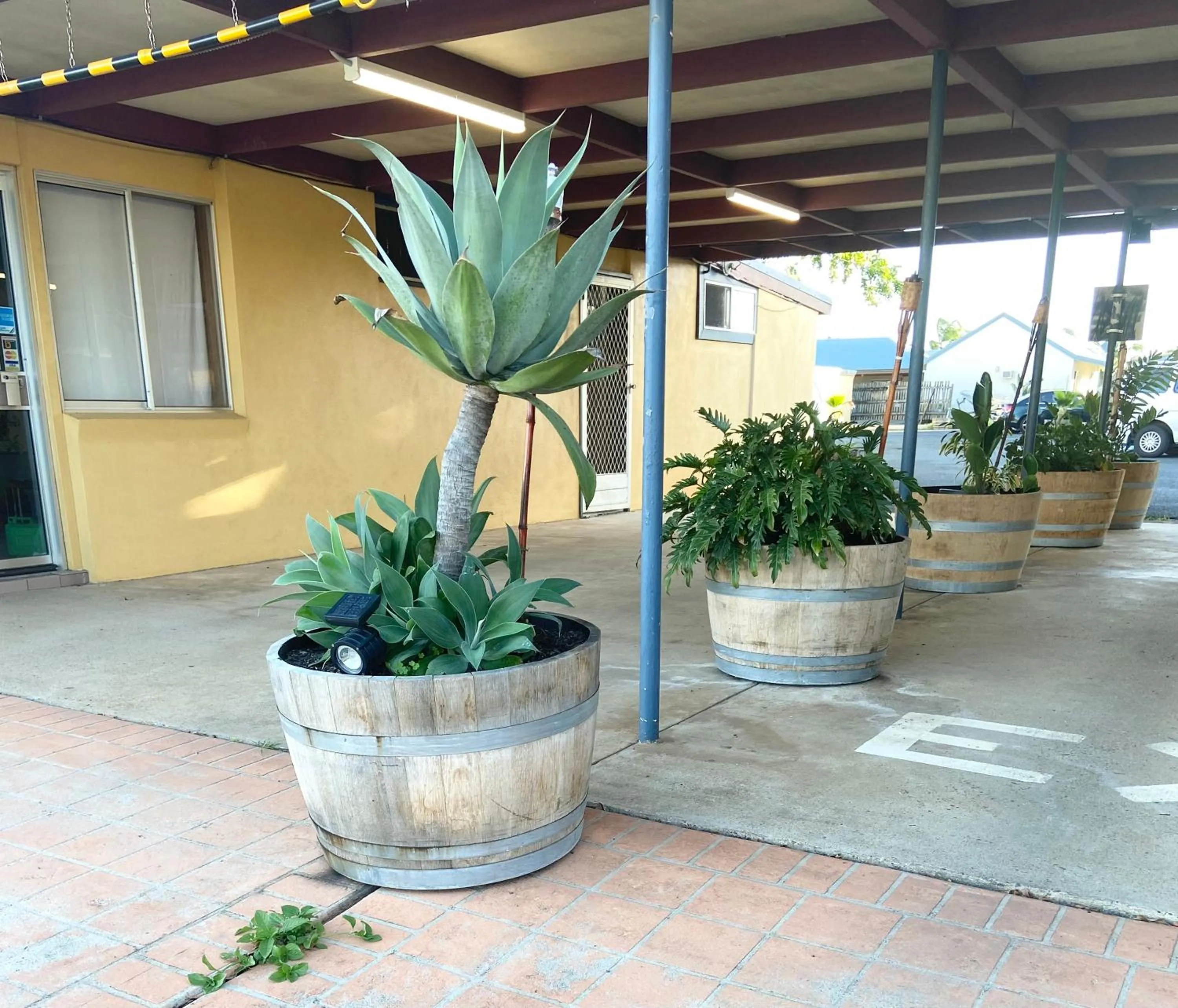 Property building in PROSERPINE MOTOR LODGE
