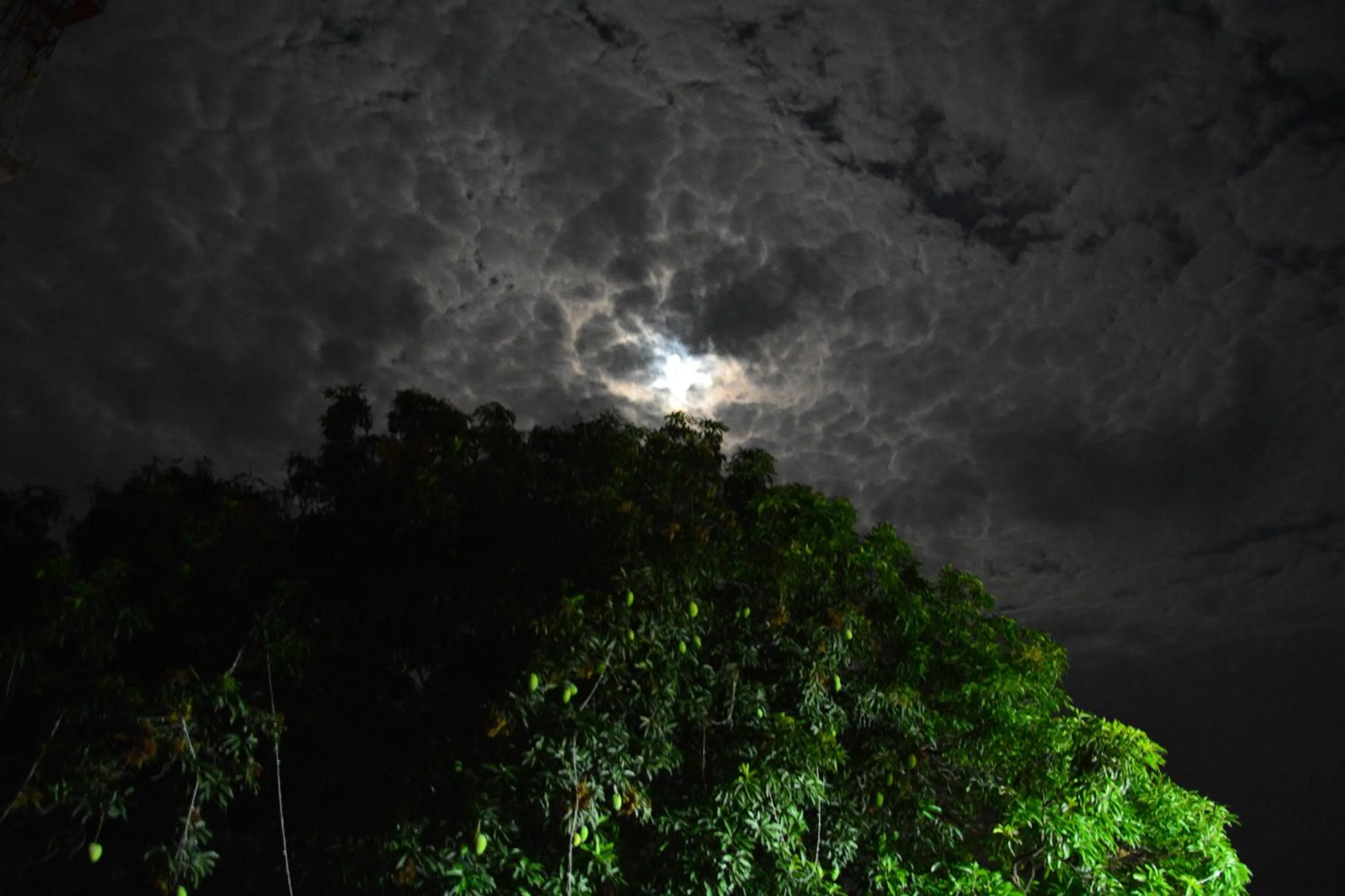 View (from property/room) in Best Western Swing High Katra