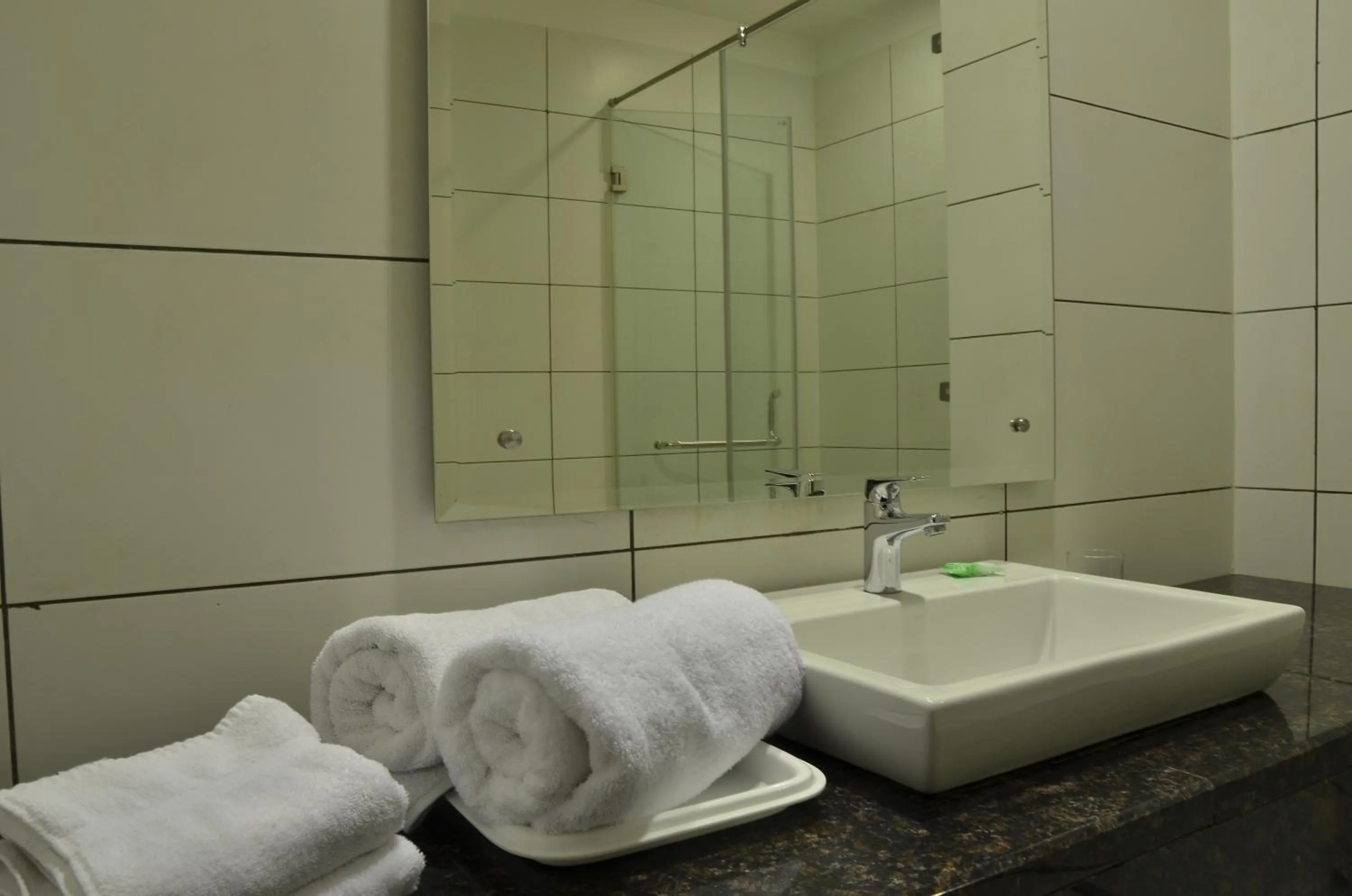 Other in Best Western Swing High Katra