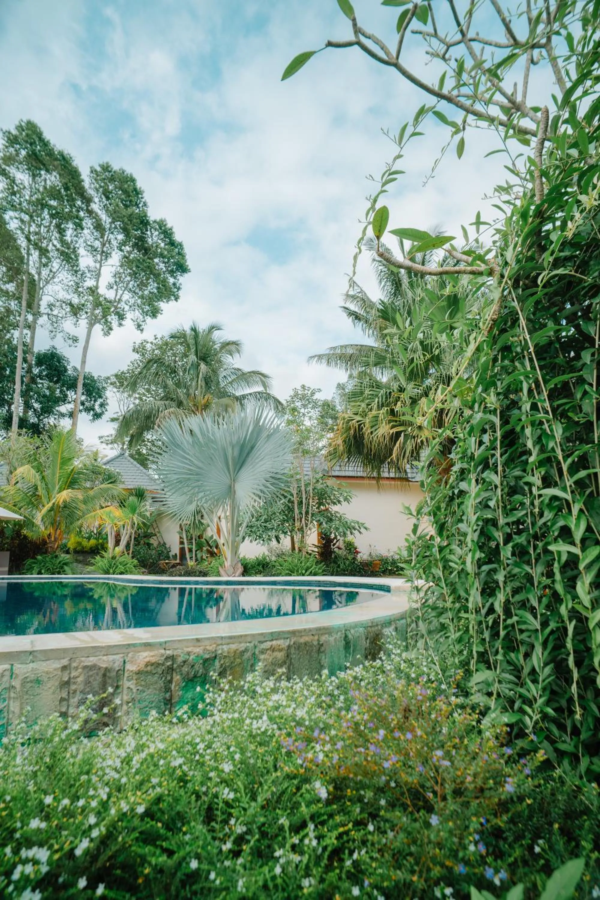 Swimming pool in Artha Cottages