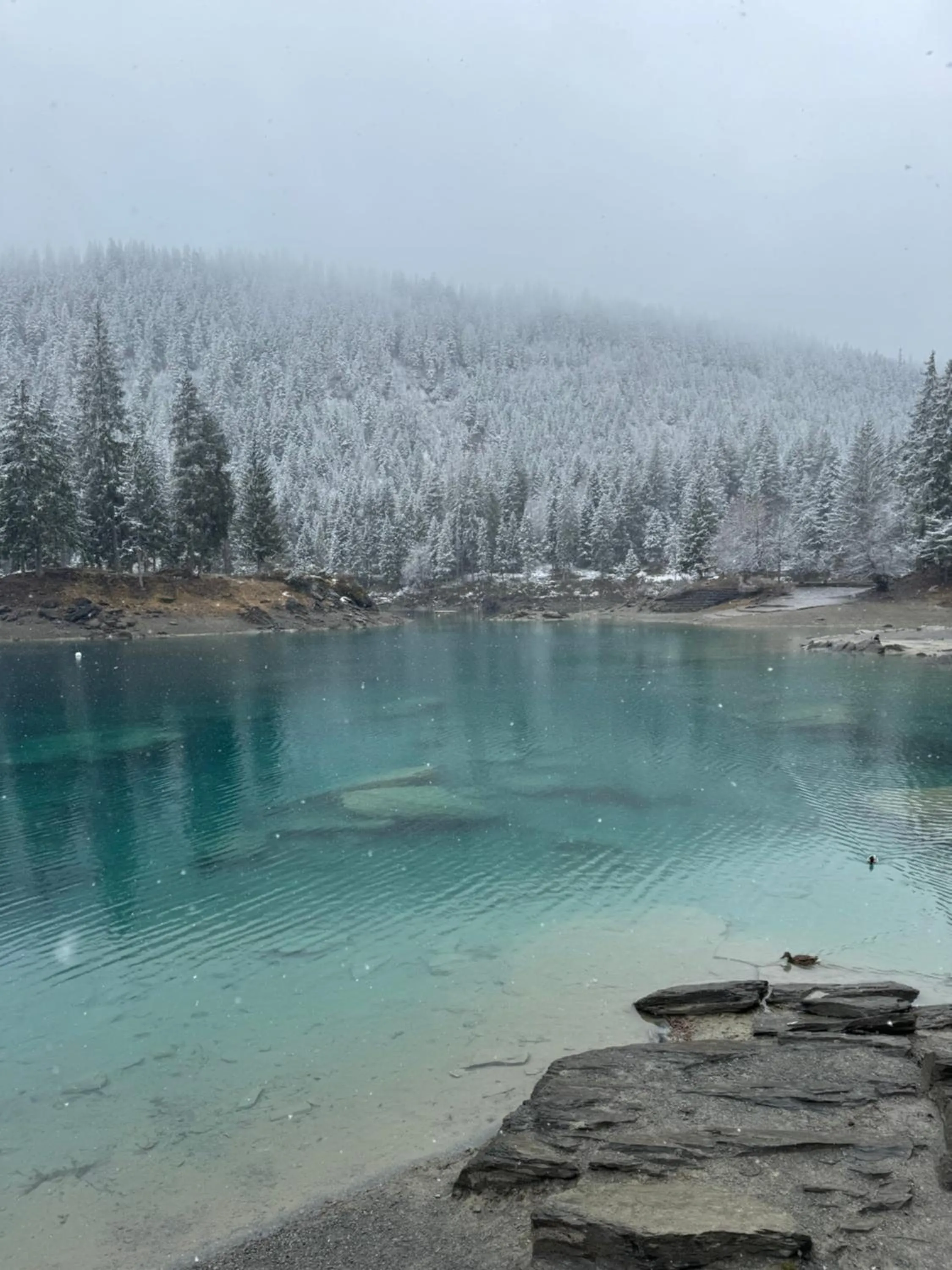 Natural landscape in Waldheim Laax Pension