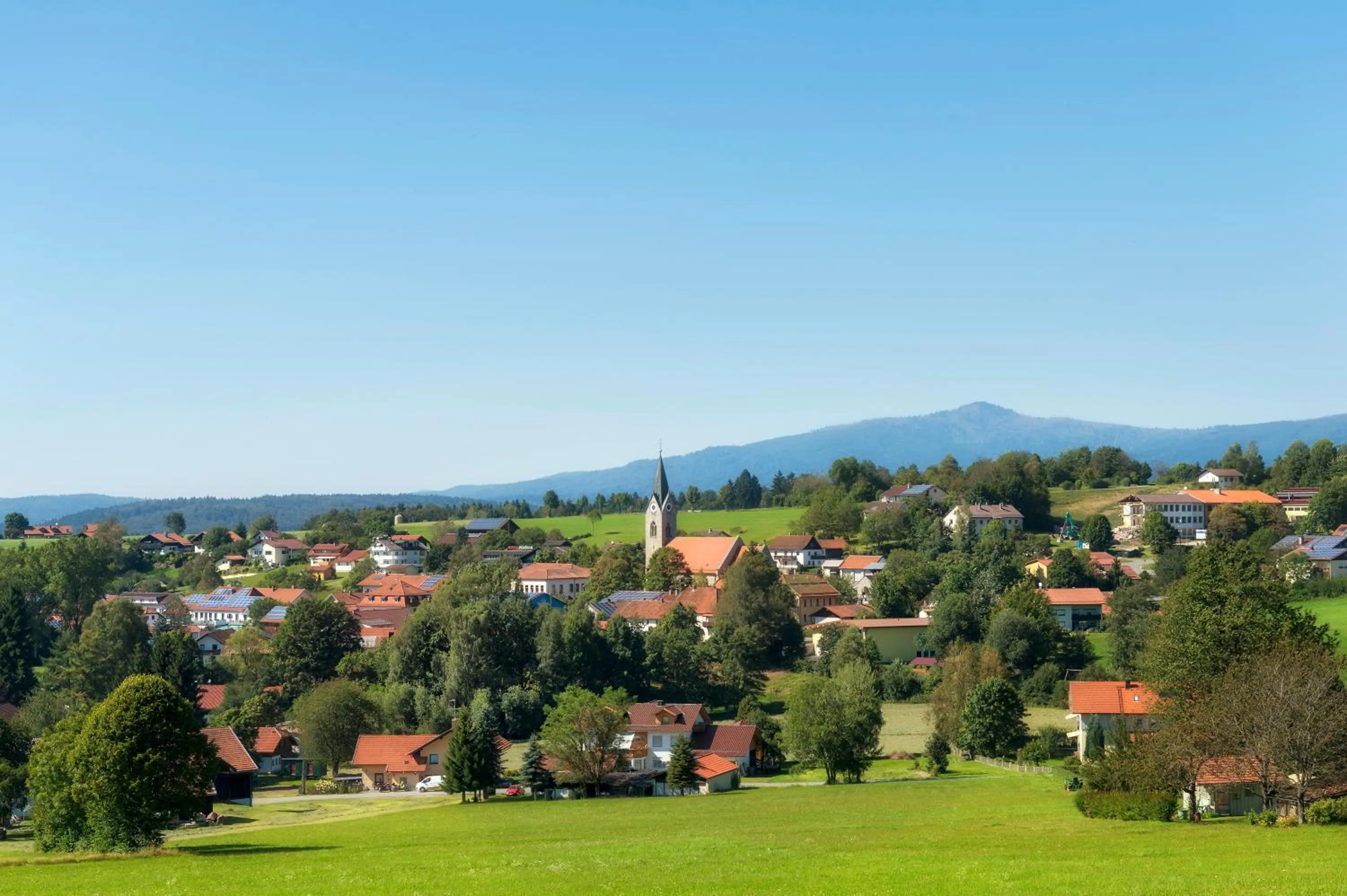 Natural landscape in Euler Neuschönau - Naturhotel & Chalets