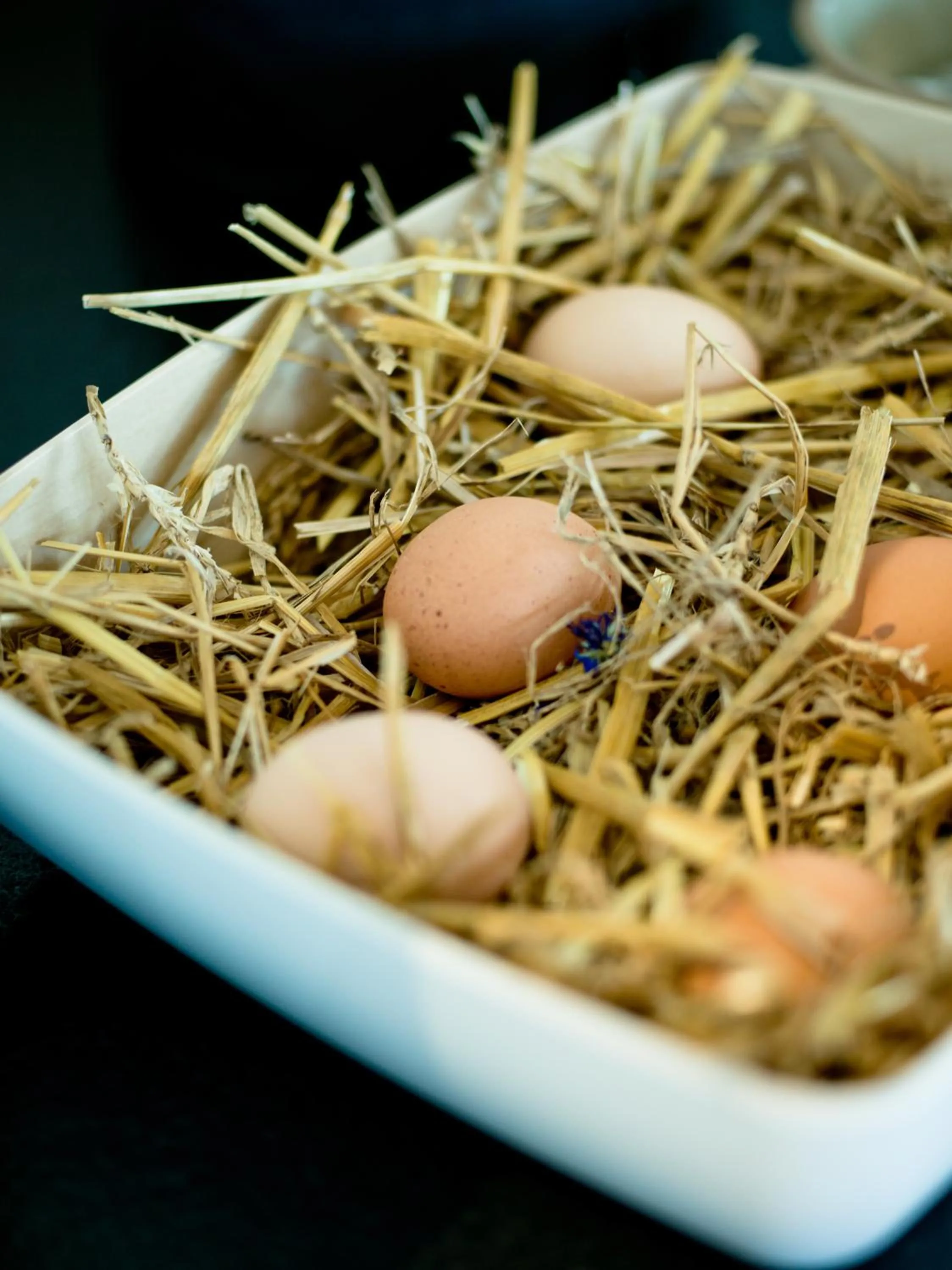 Breakfast in Euler Neuschönau - Naturhotel & Chalets