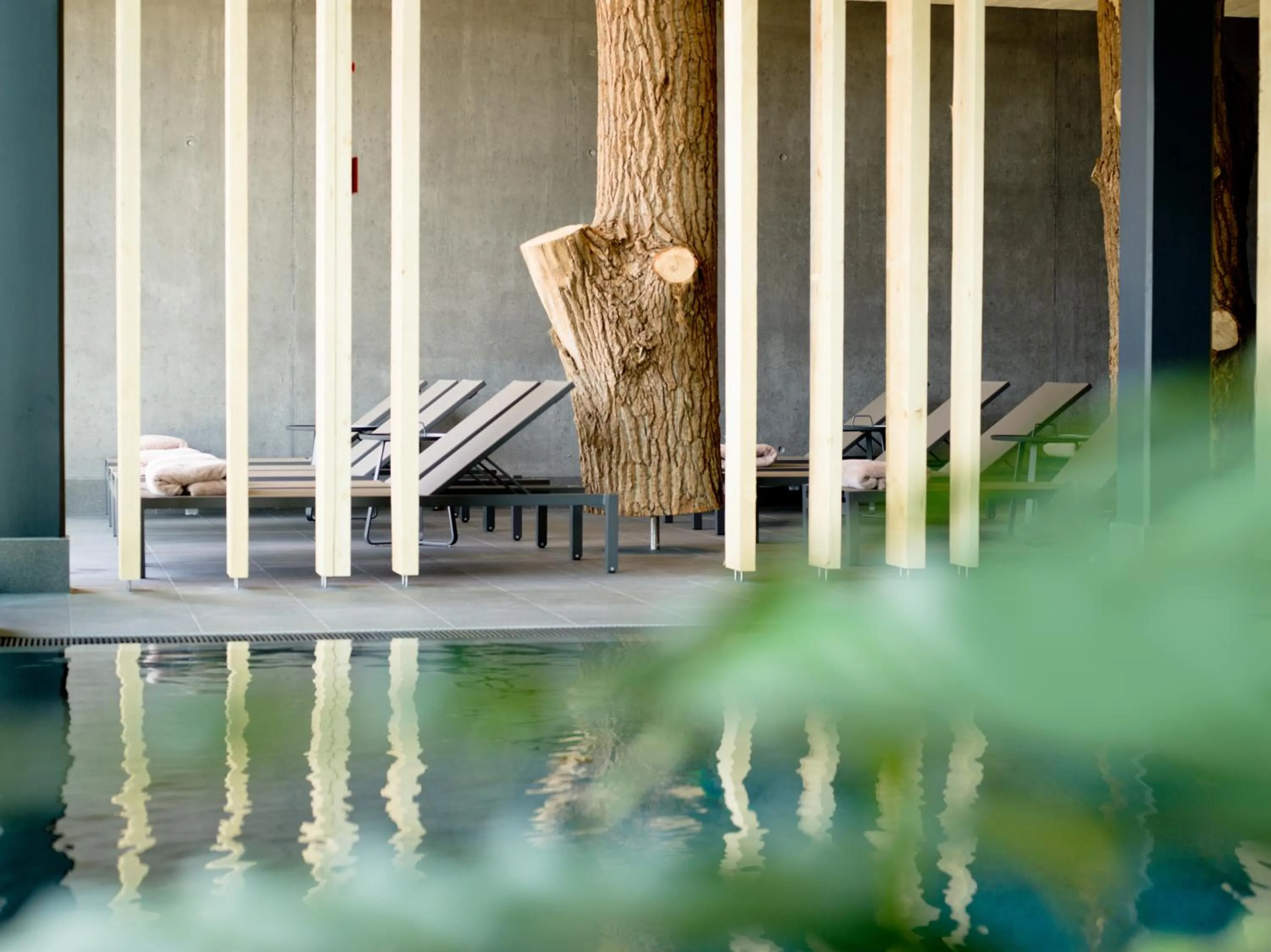 Swimming pool in Euler Neuschönau - Naturhotel & Chalets
