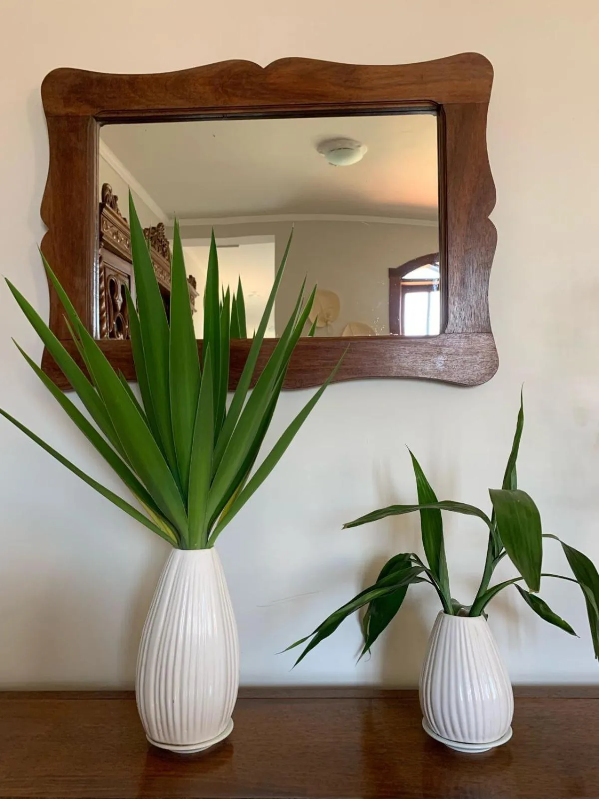 POUSADA CAPIM LIMÃO