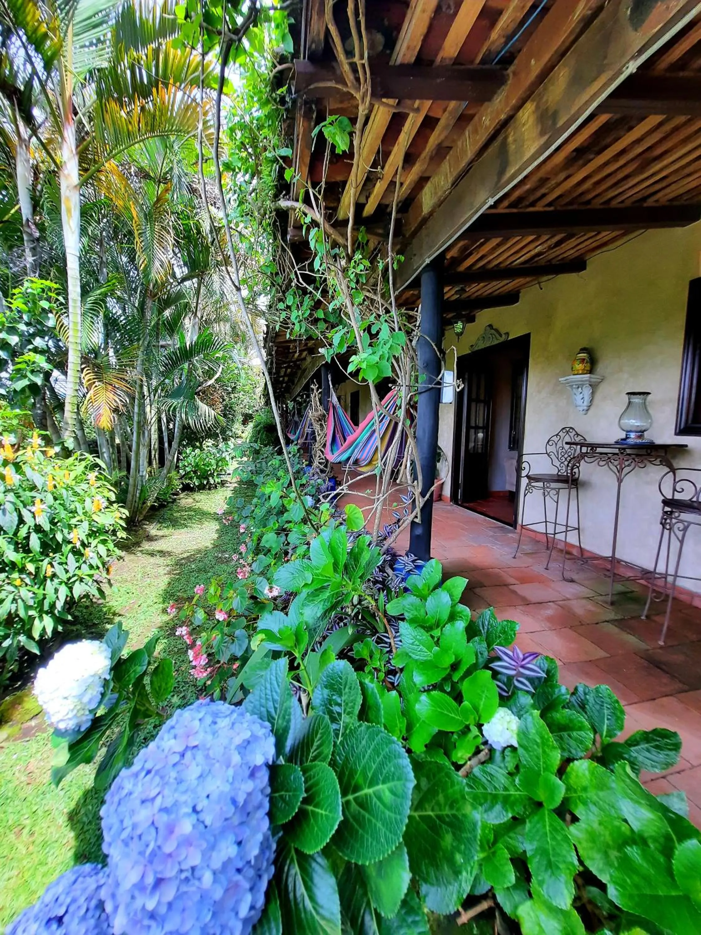 Garden in Cabañas San Miguel