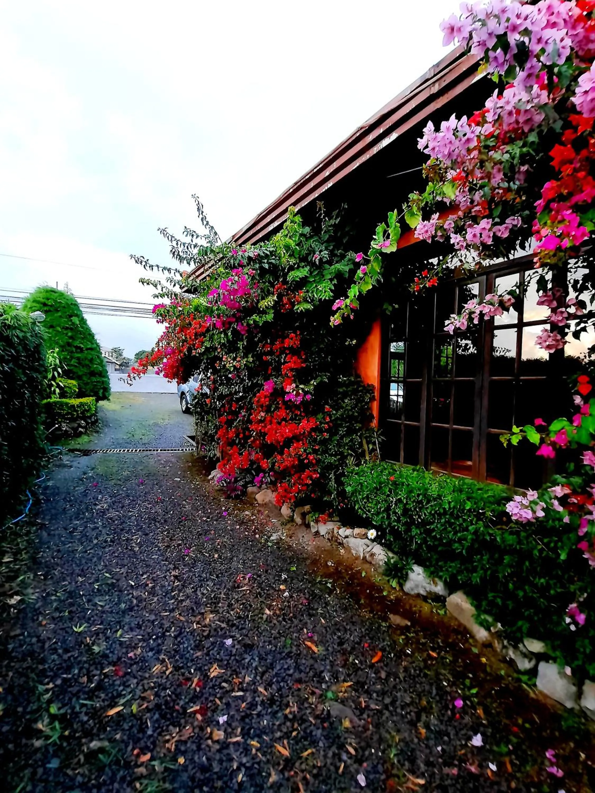 Natural landscape in Cabañas San Miguel
