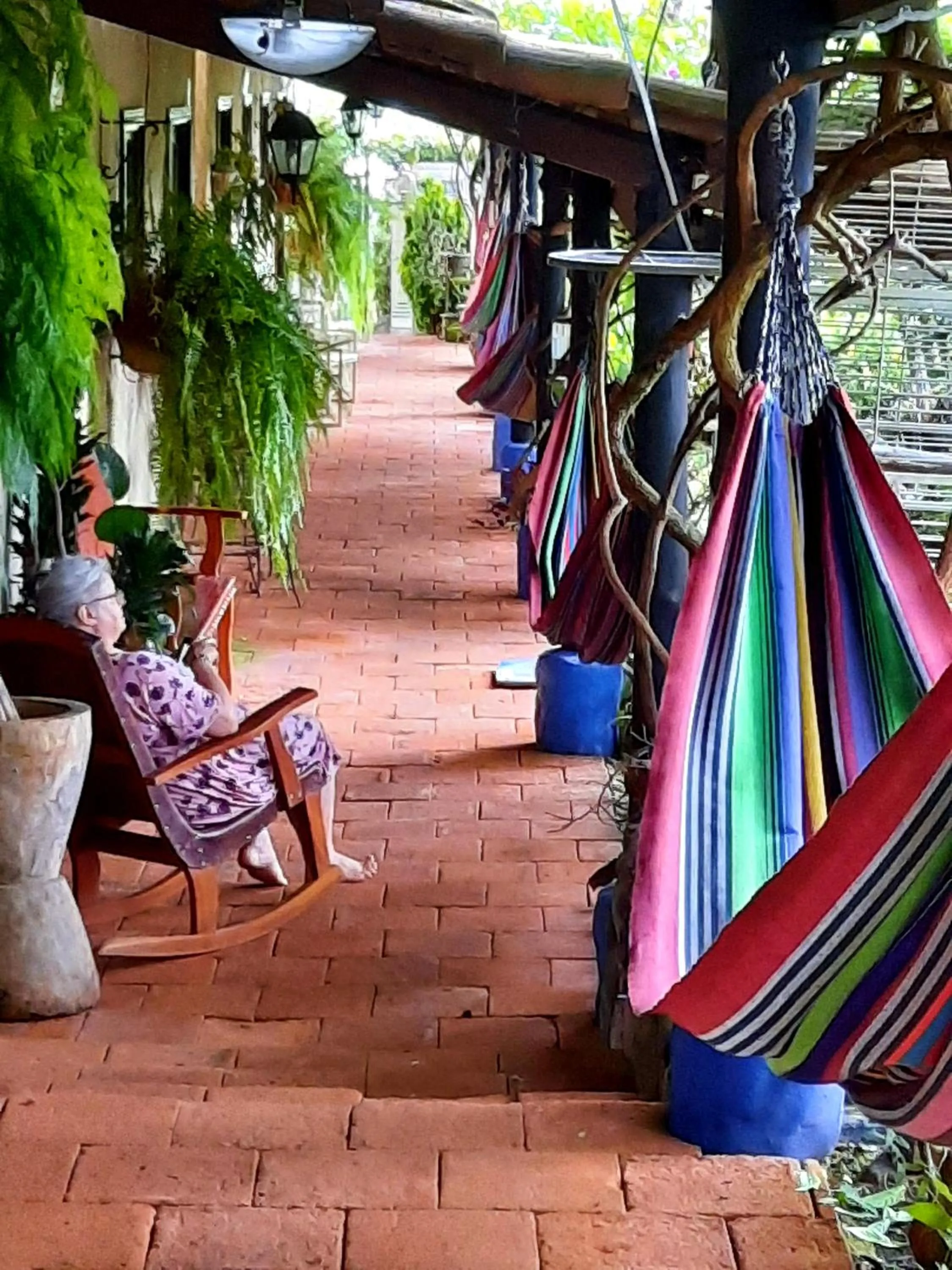 Garden view in Cabañas San Miguel