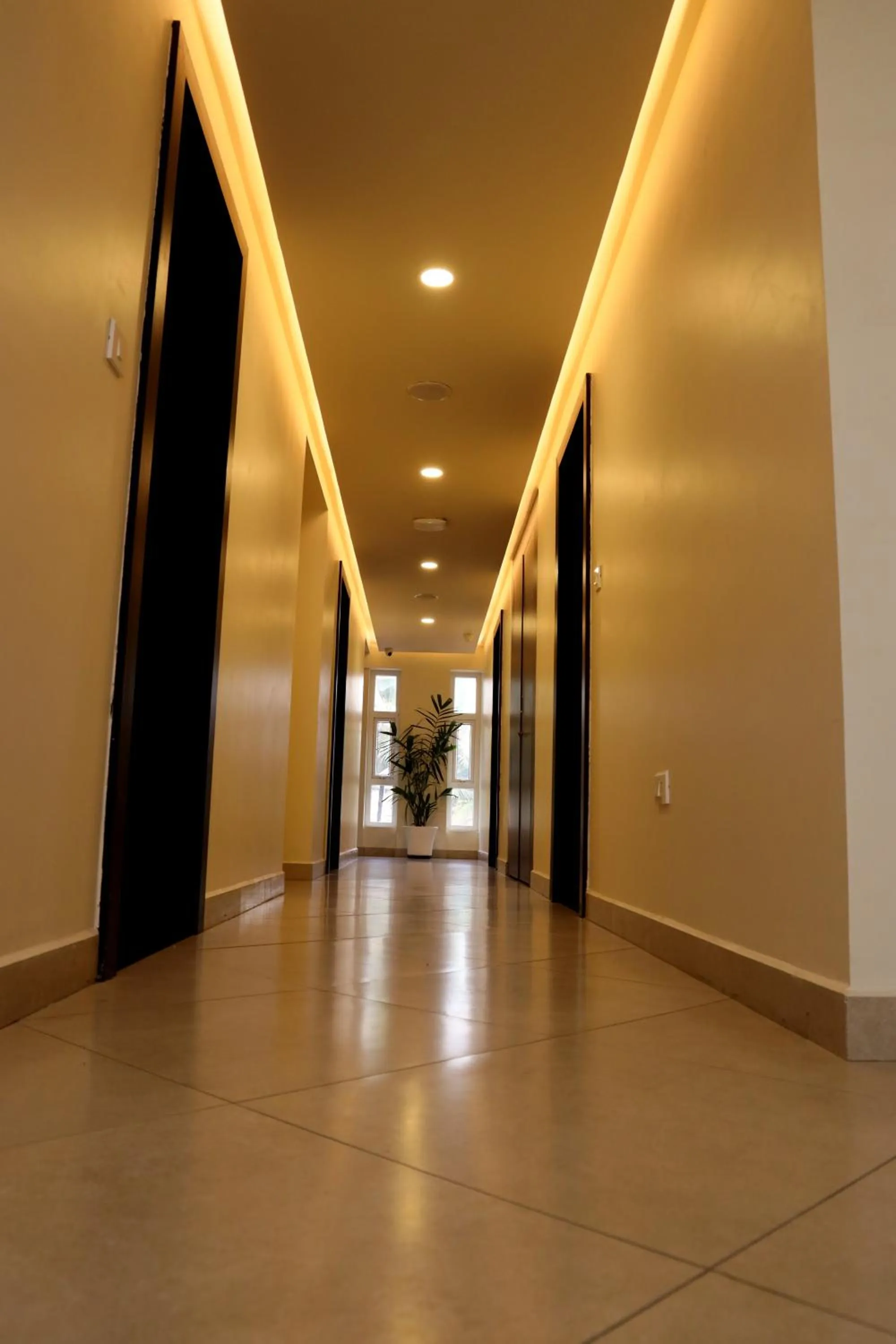 Property building in Lavender Infopark Kochi