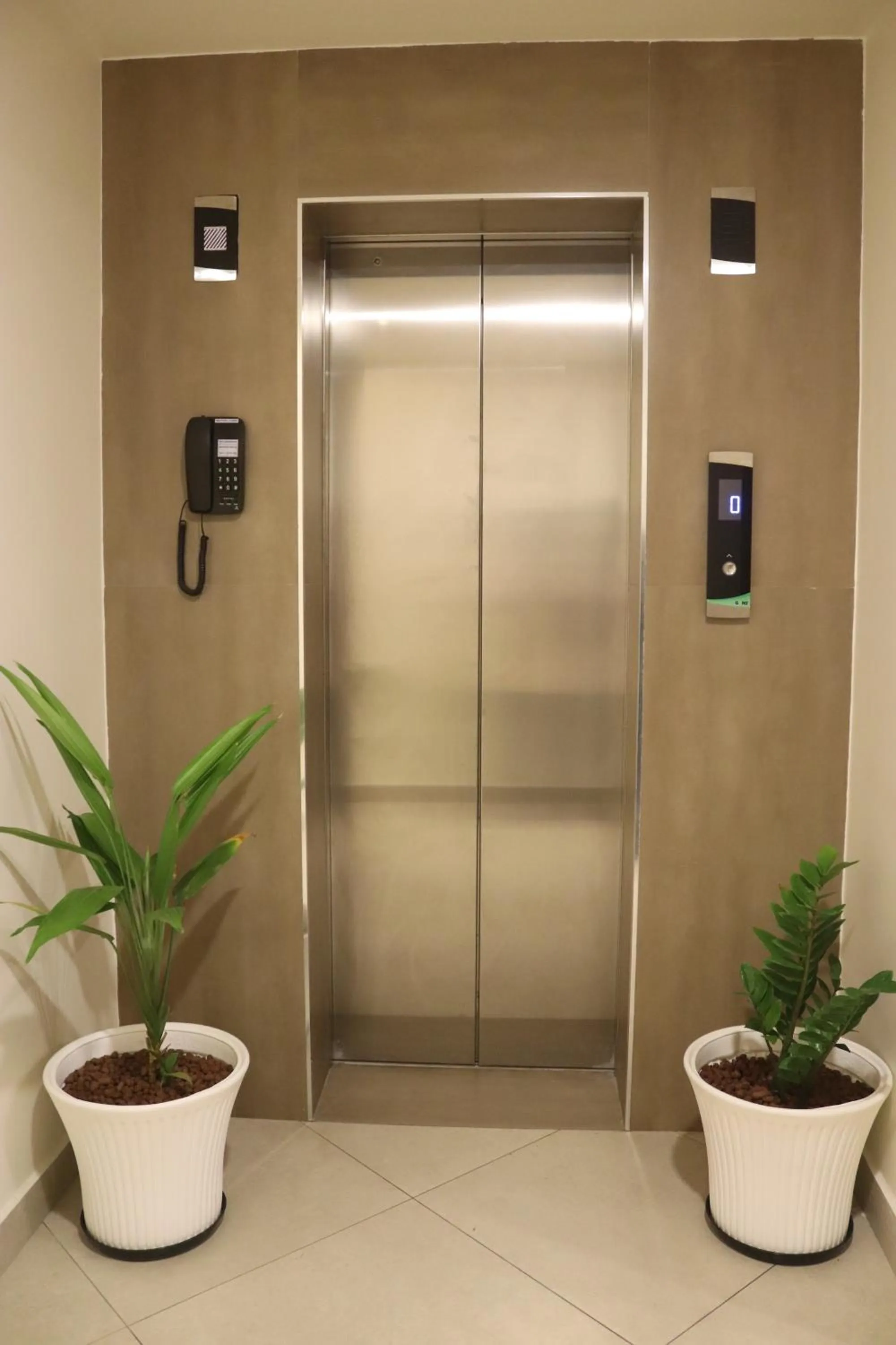 Other in Lavender Infopark Kochi