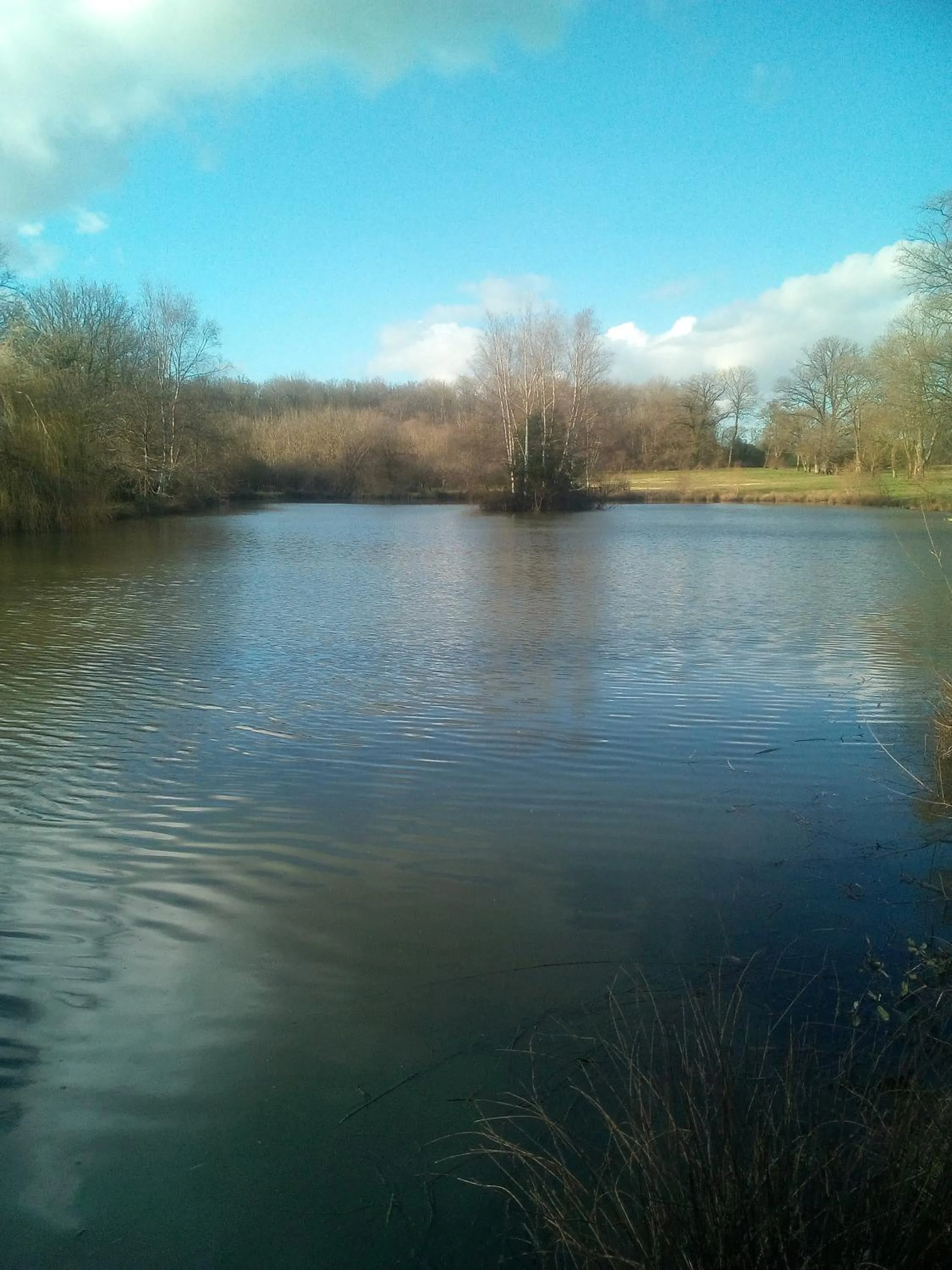 Domaine du clos henri