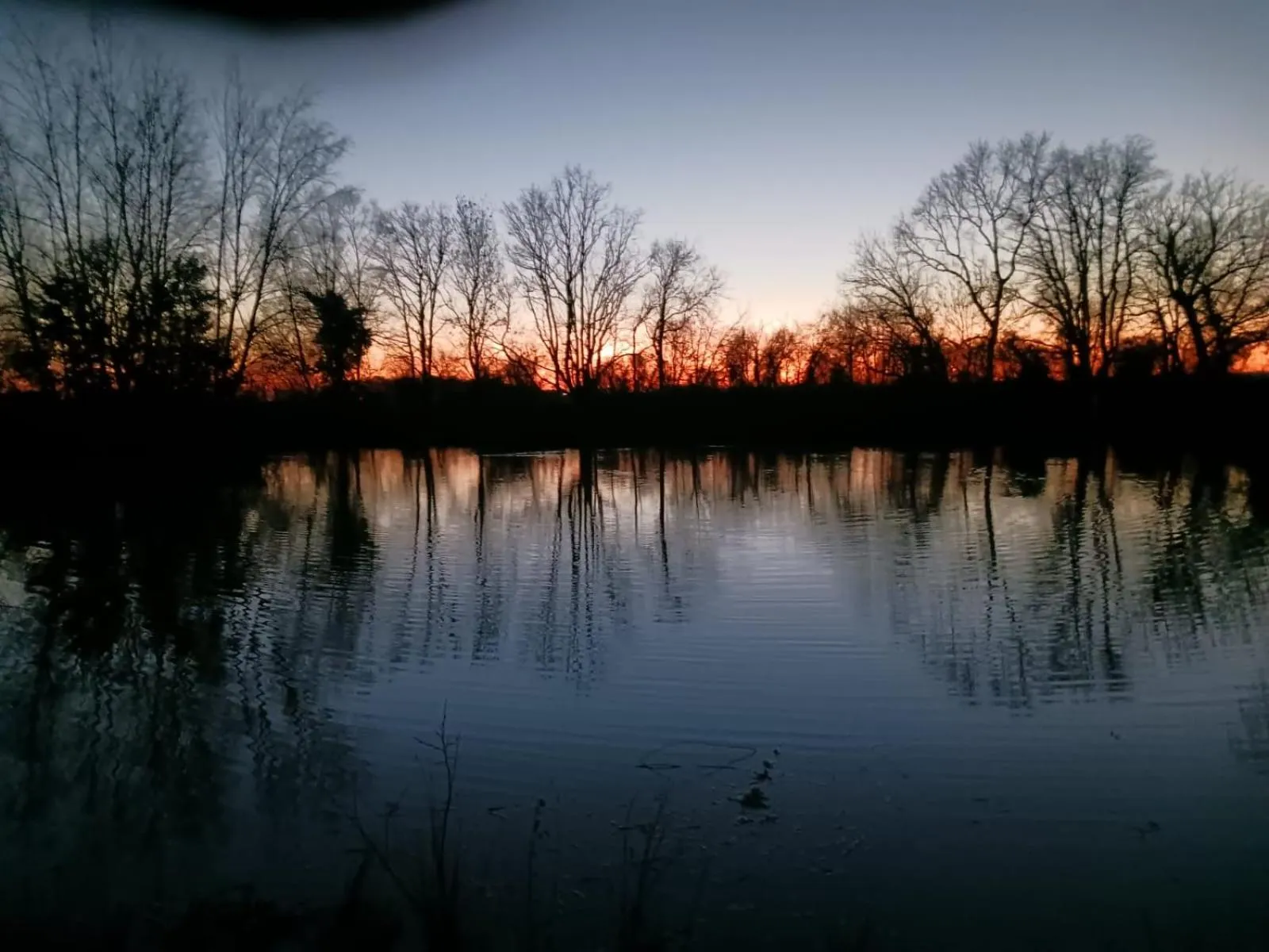 Domaine du clos henri