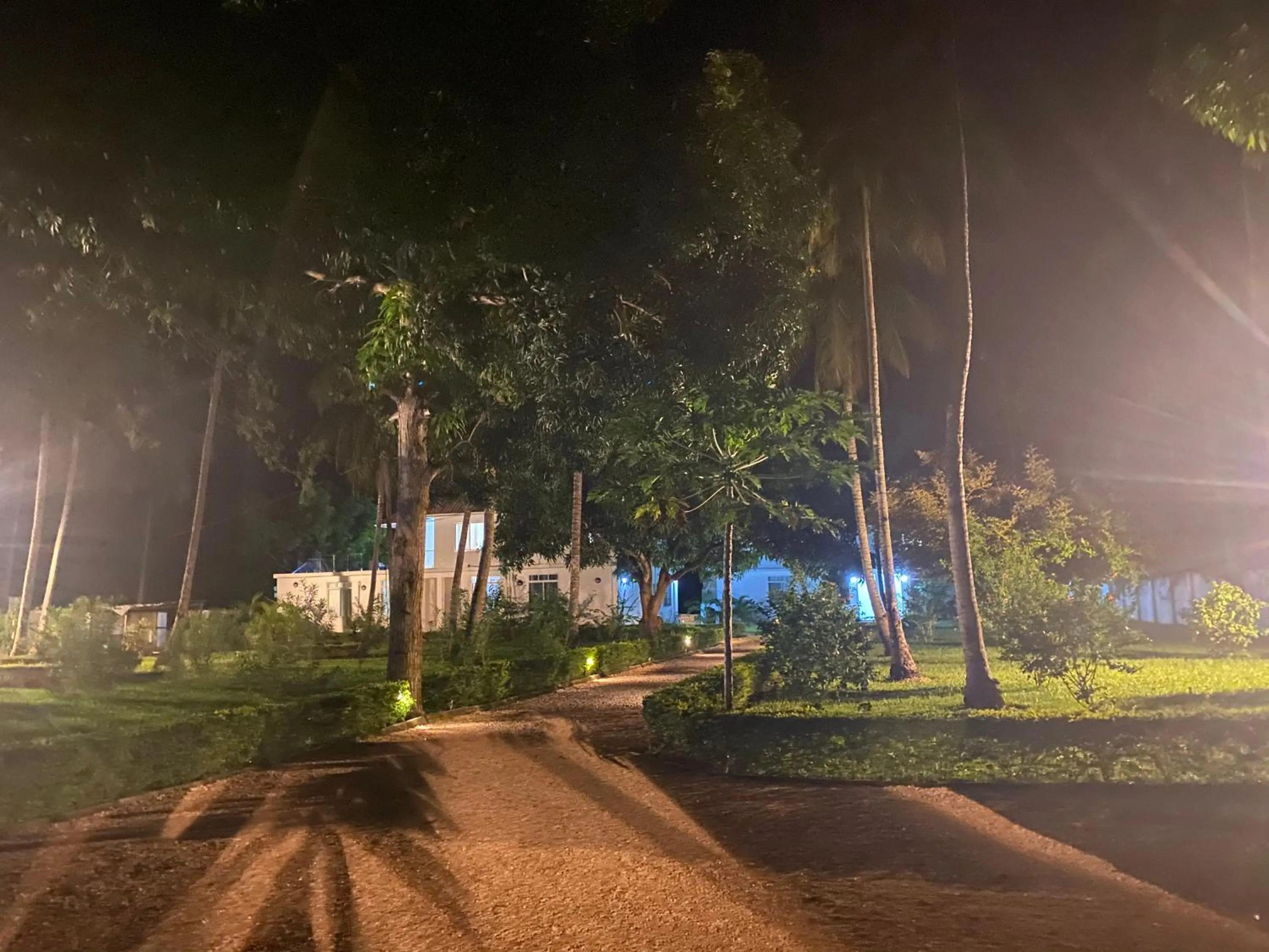 Garden in Calamari Beach Resort