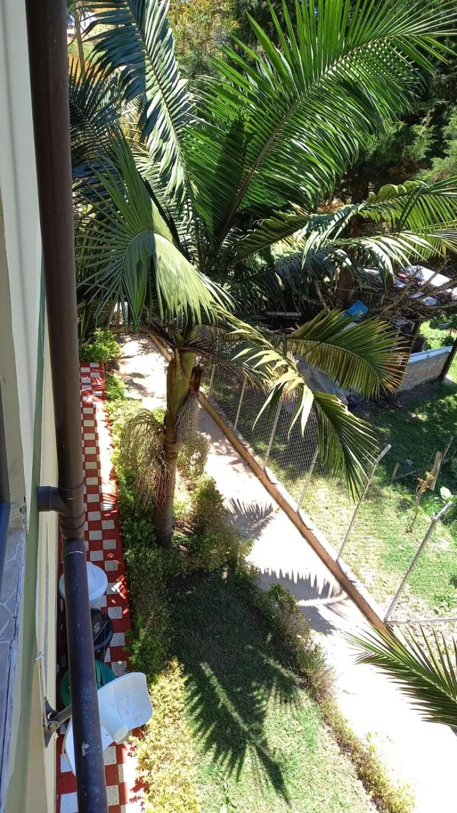 Garden view in Finca Hotel Zona Franca