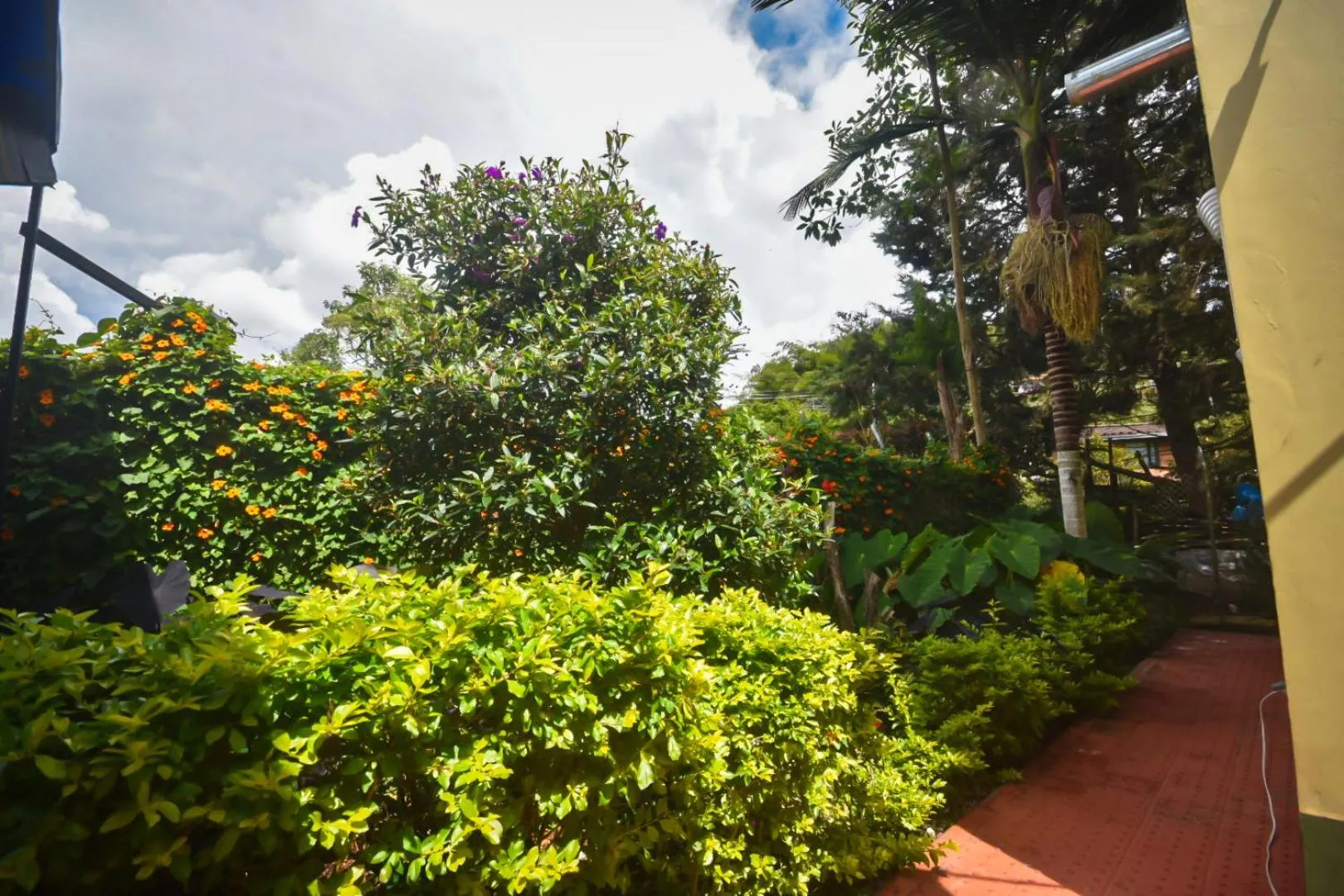 Spring in Finca Hotel Zona Franca