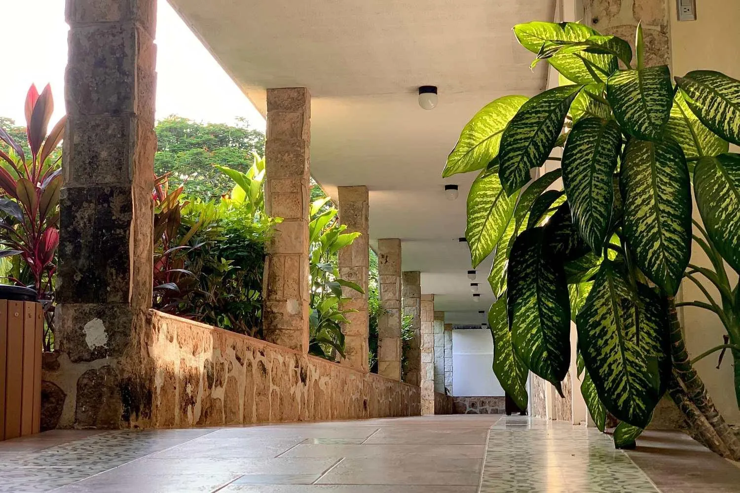 Garden view in Hotel Puerta Chichen