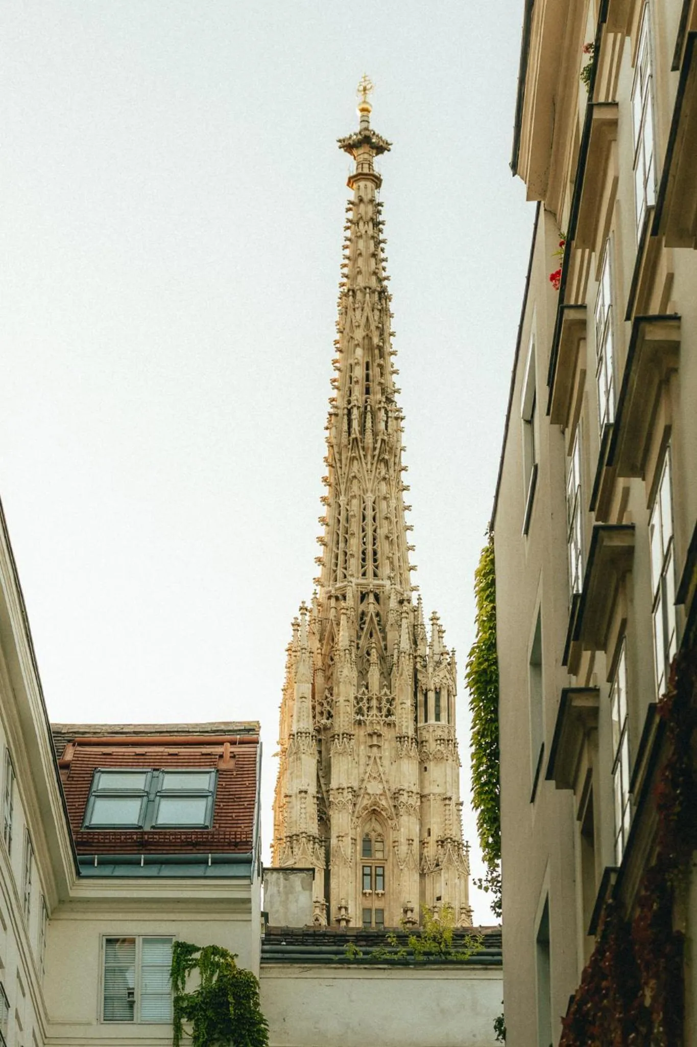 Nearby landmark in Miiro Spittelberg NEW OPENING