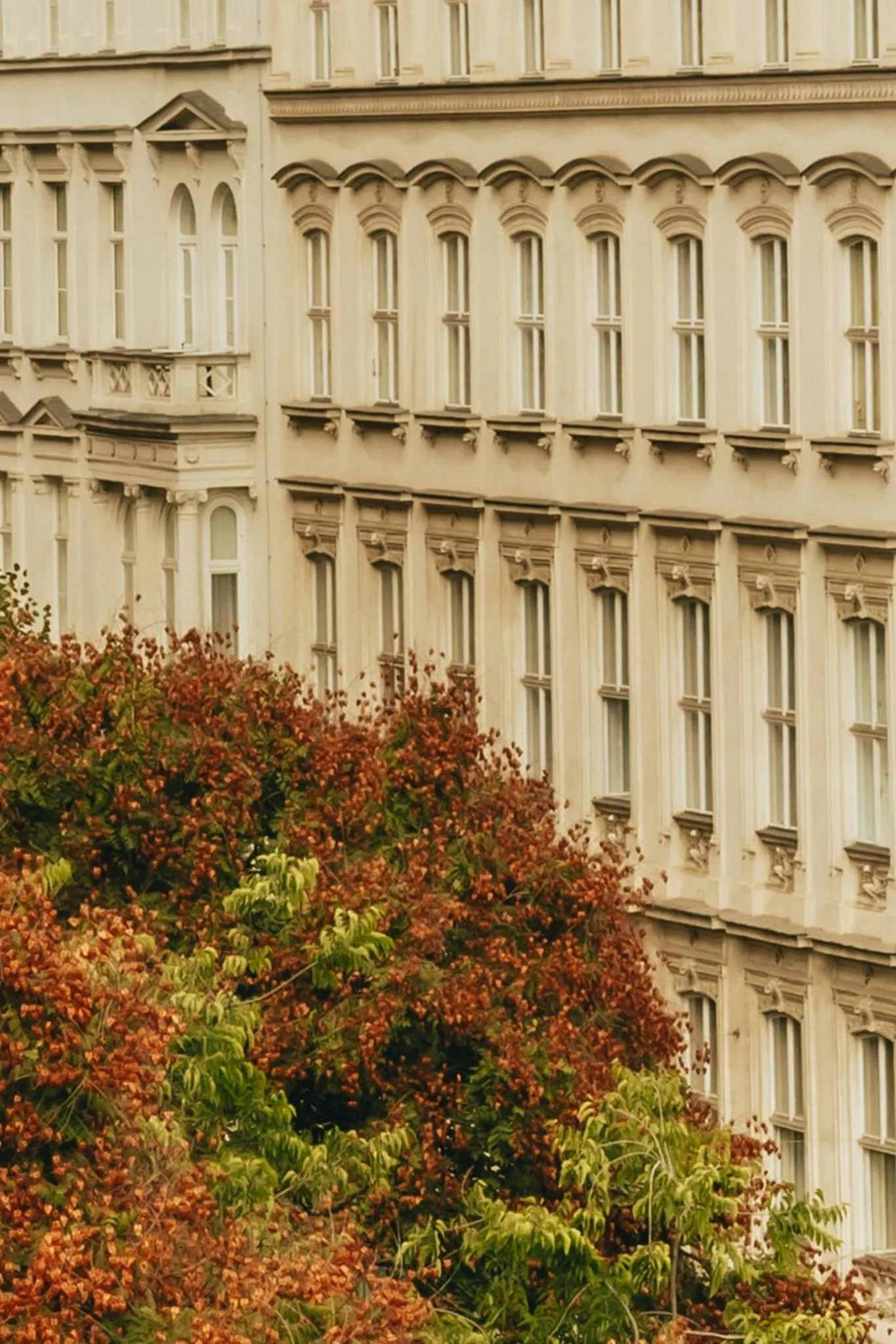 Garden in Miiro Spittelberg NEW OPENING