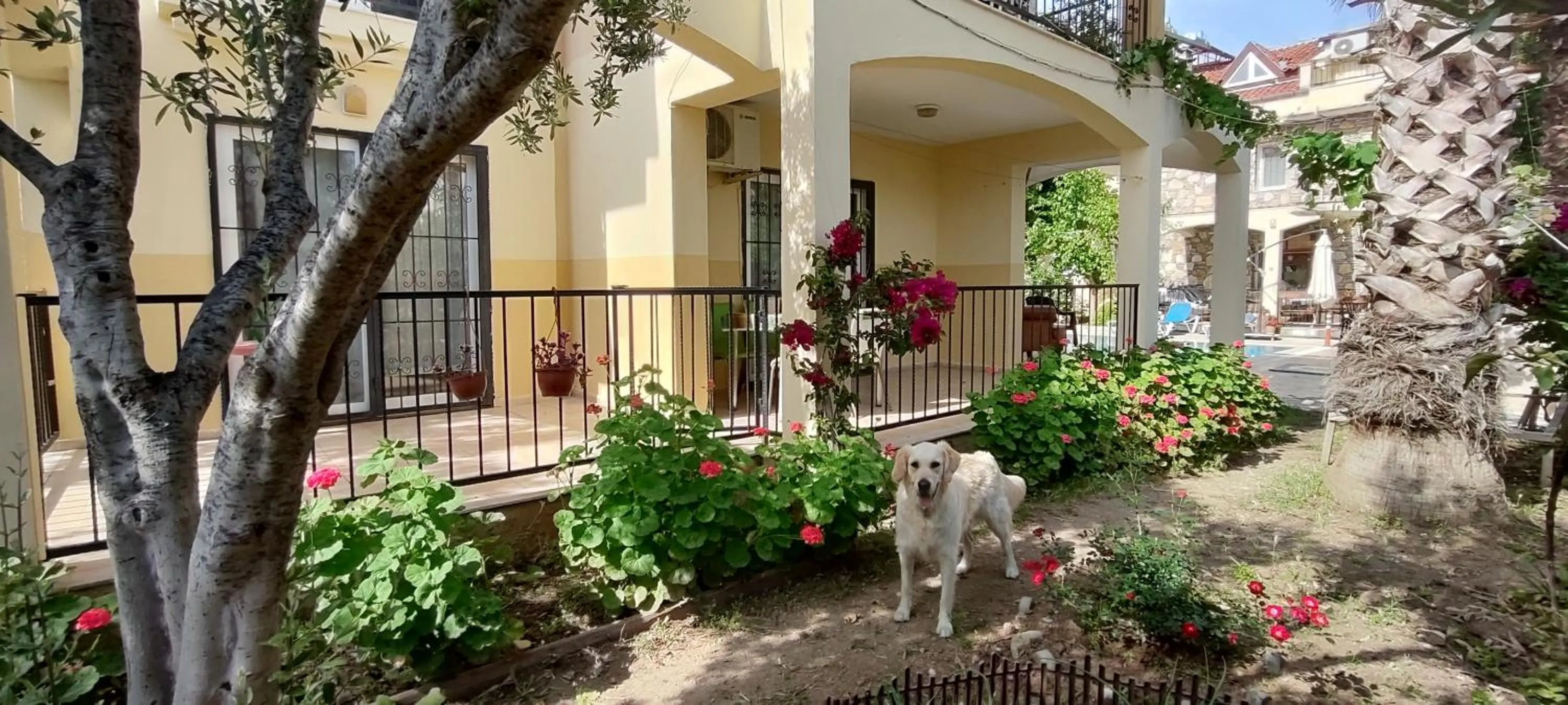 Property building in çileks apart otel